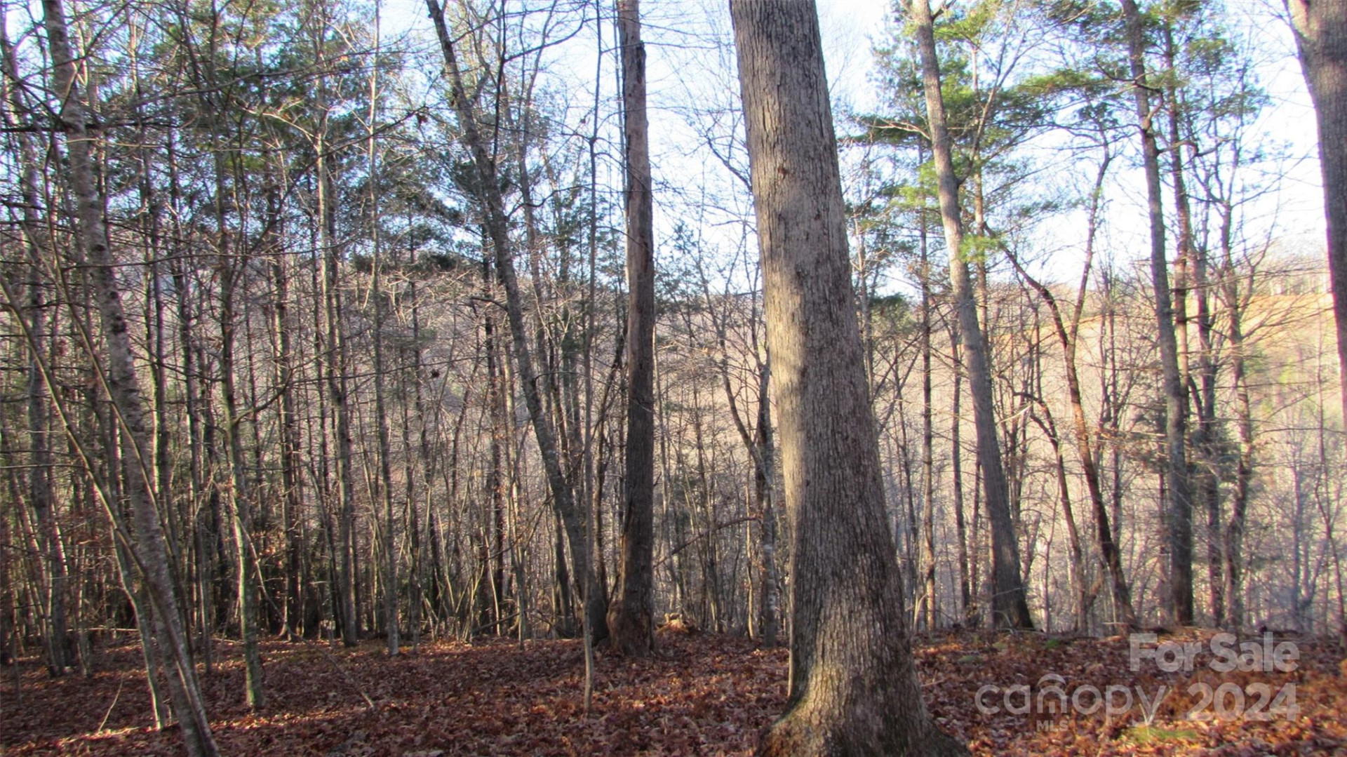 00 High Peak Drive #61 - Photo 10