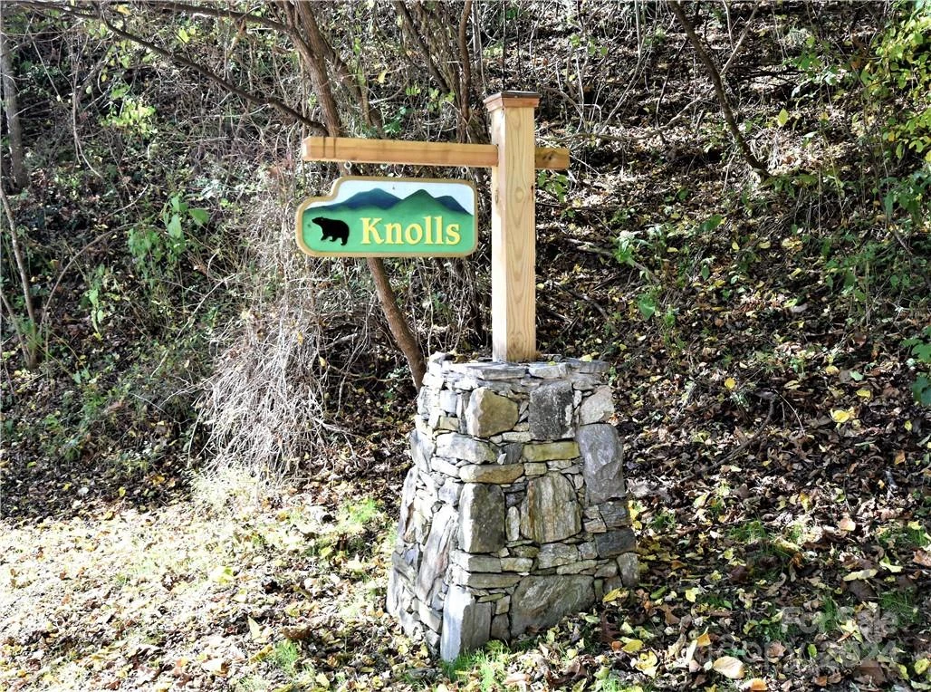 115 B Campbell Mountain Drive #Lot 115B The Knolls - Photo 3
