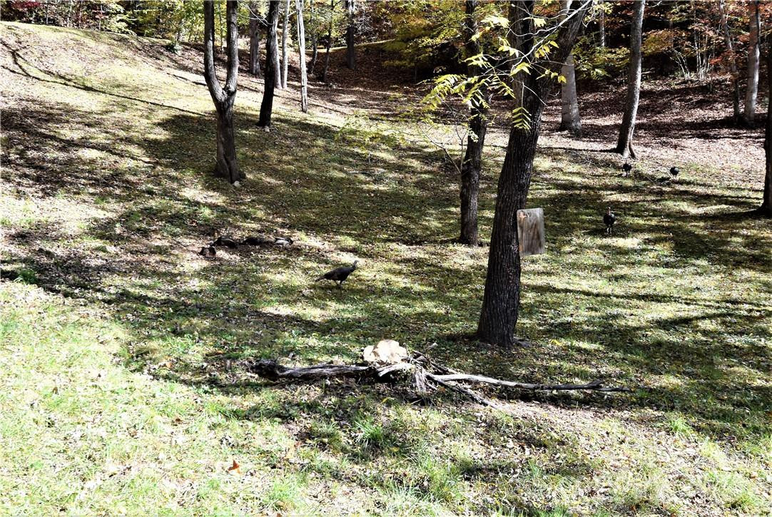 115 B Campbell Mountain Drive #Lot 115B The Knolls - Photo 10