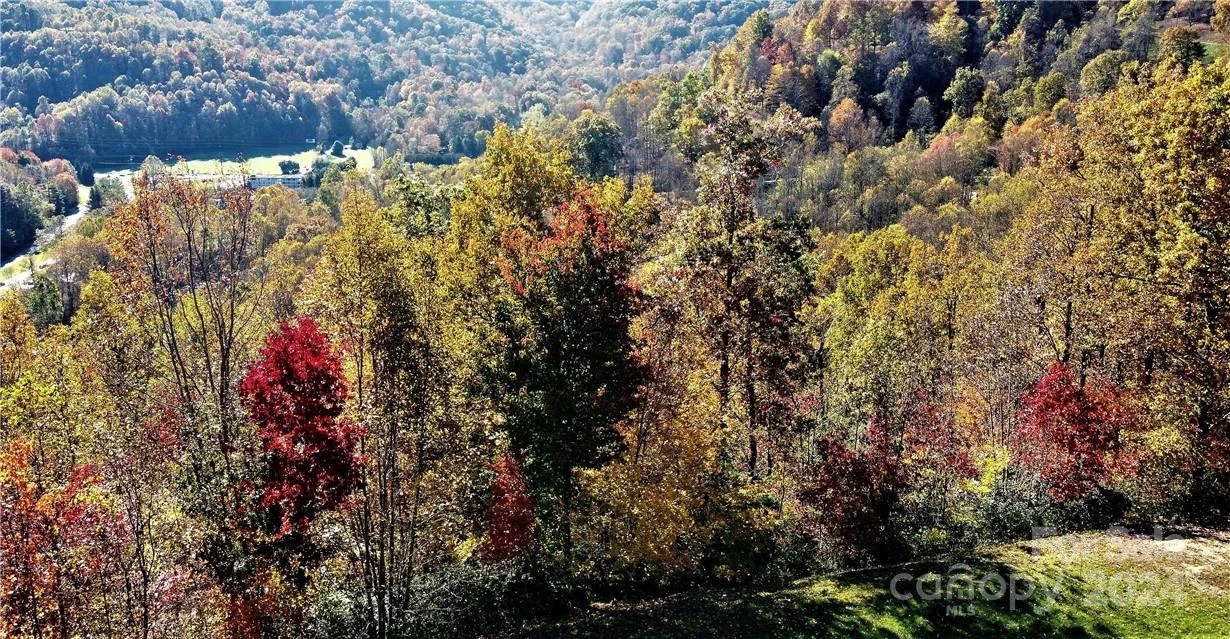 LOT 115 Campbell Mountain Drive #Lot 115 The Knolls - Photo 5