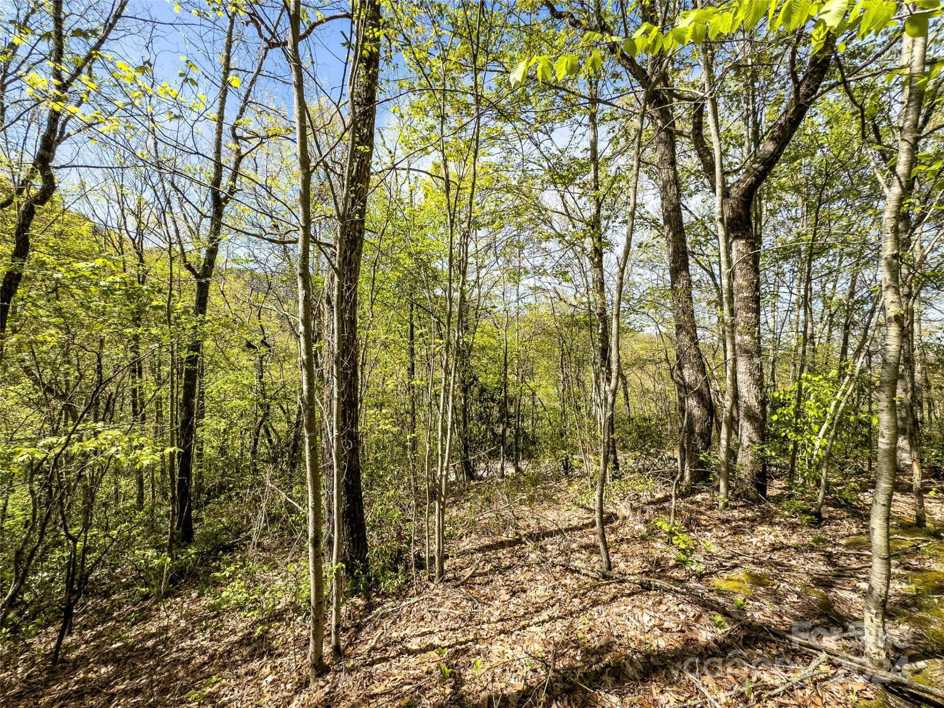 2414 Black Rock Road #72 - Photo 8