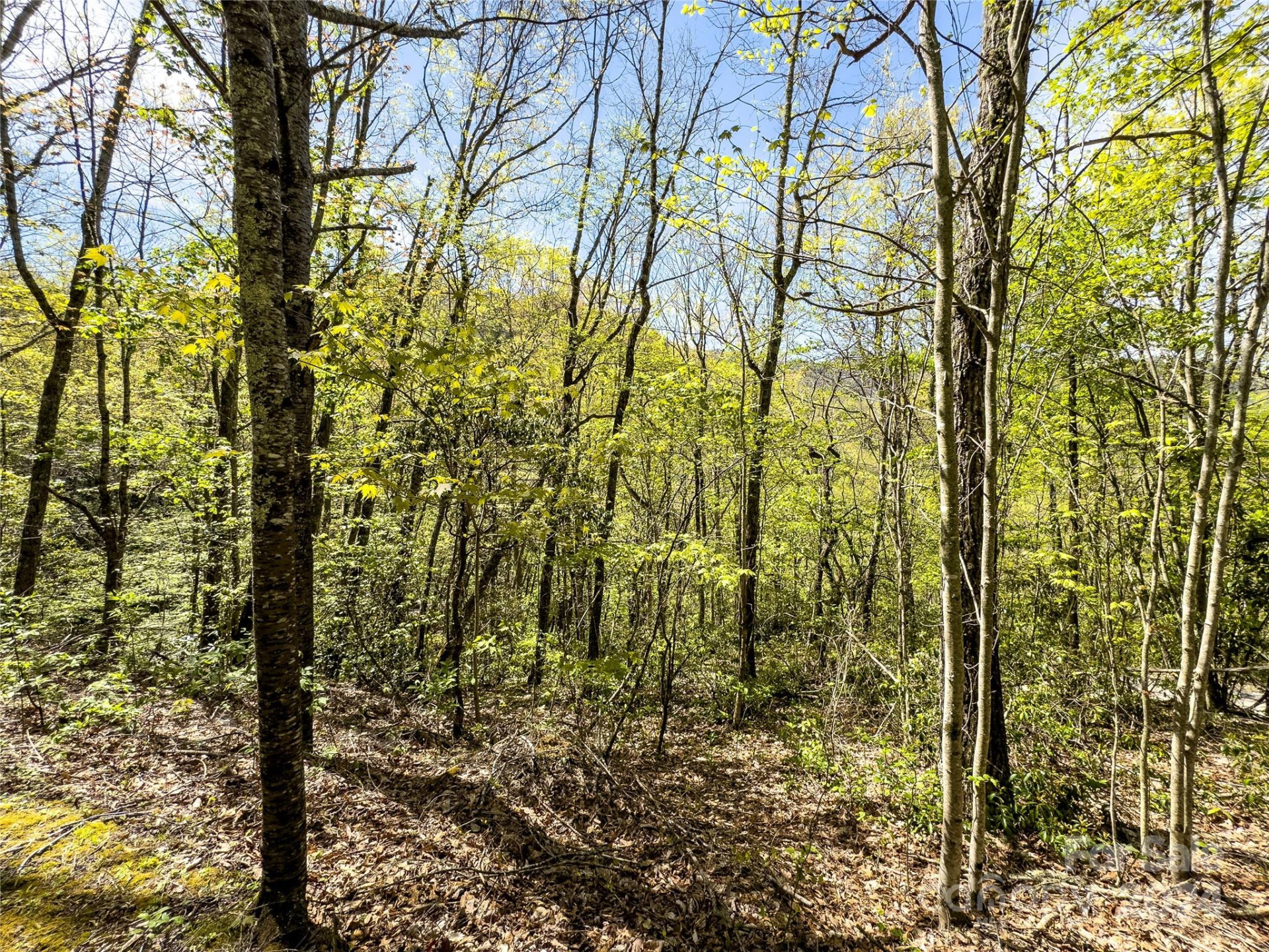 2414 Black Rock Road #72 - Photo 9