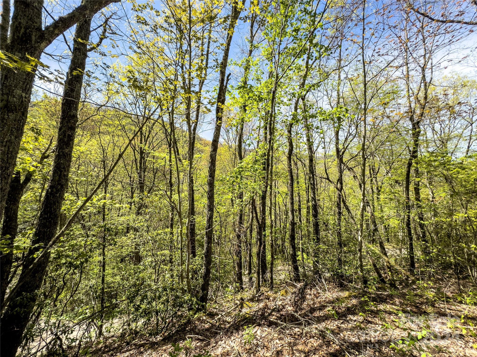 2414 Black Rock Road #72 - Photo 10