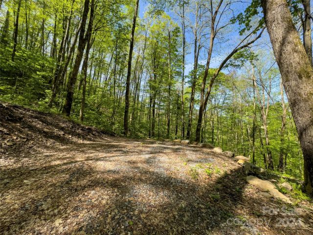 Lot 74 Black Rock Road, Qualla, NC, 28719