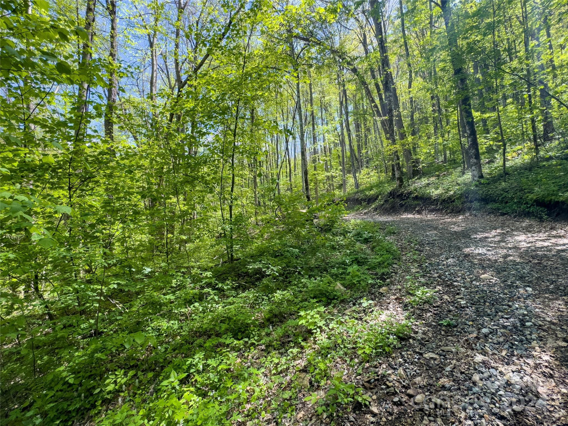 Lot 74 Black Rock Road #74 - Photo 2