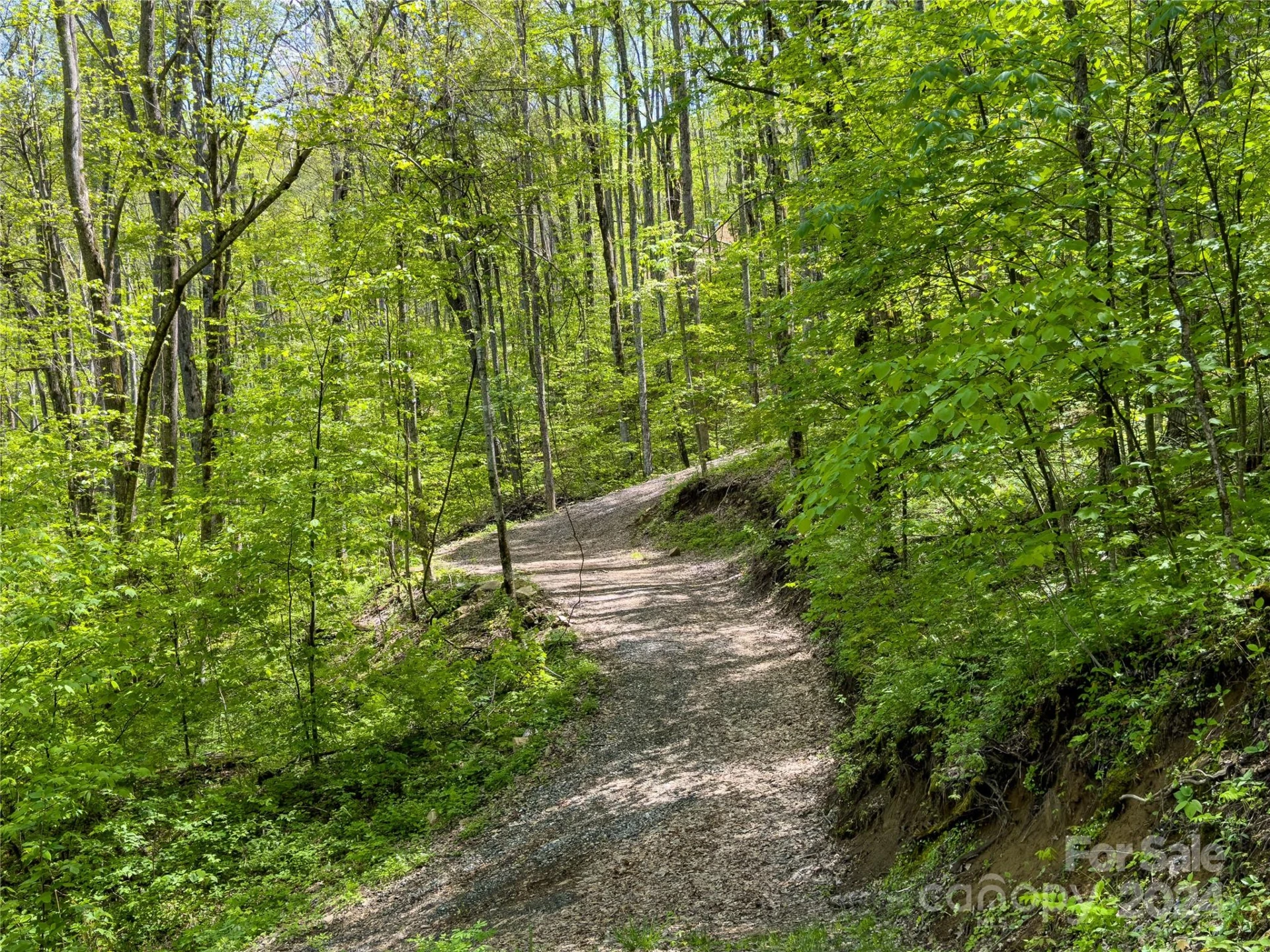 Lot 74 Black Rock Road #74 - Photo 11