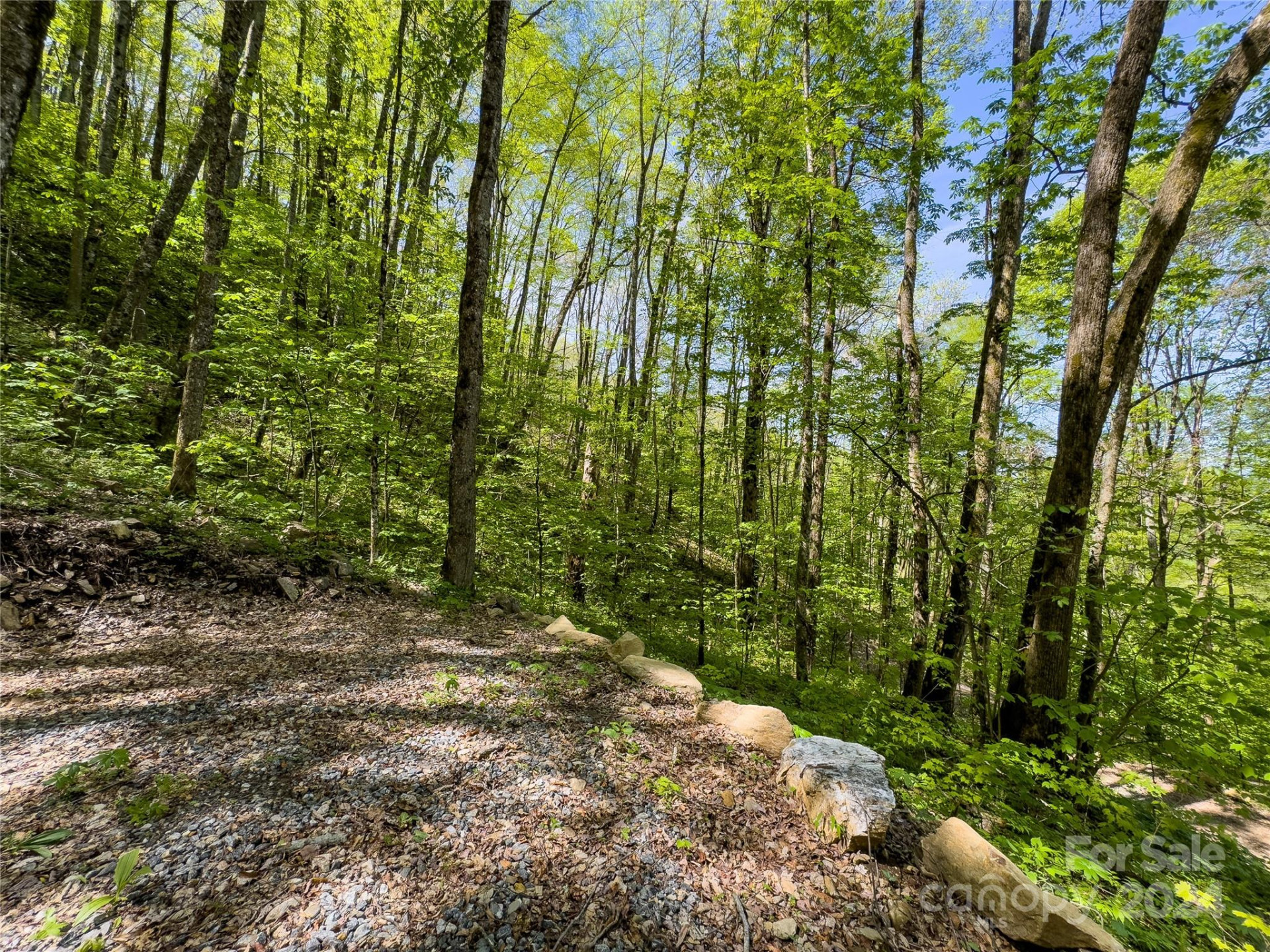 Lot 74 Black Rock Road #74 - Photo 12