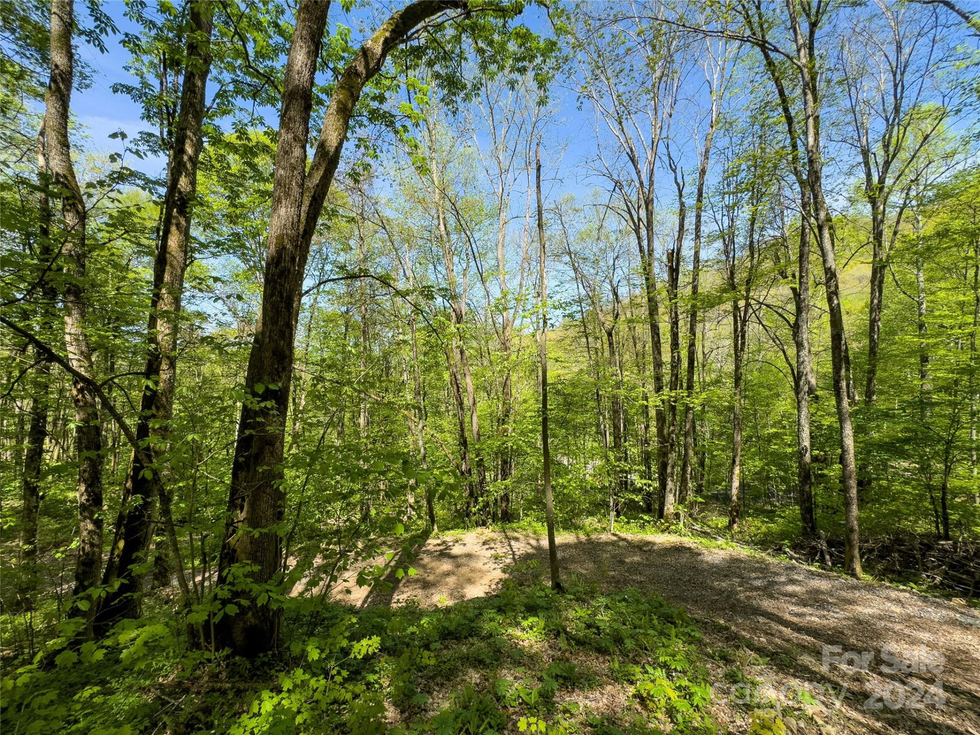 Lot 74 Black Rock Road #74 - Photo 13