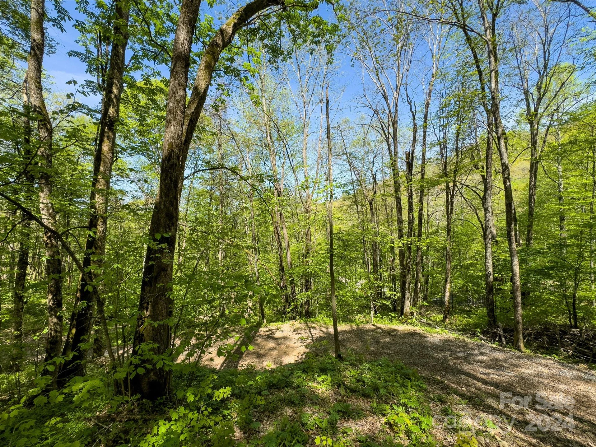 Lot 74 Black Rock Road #74 - Photo 13