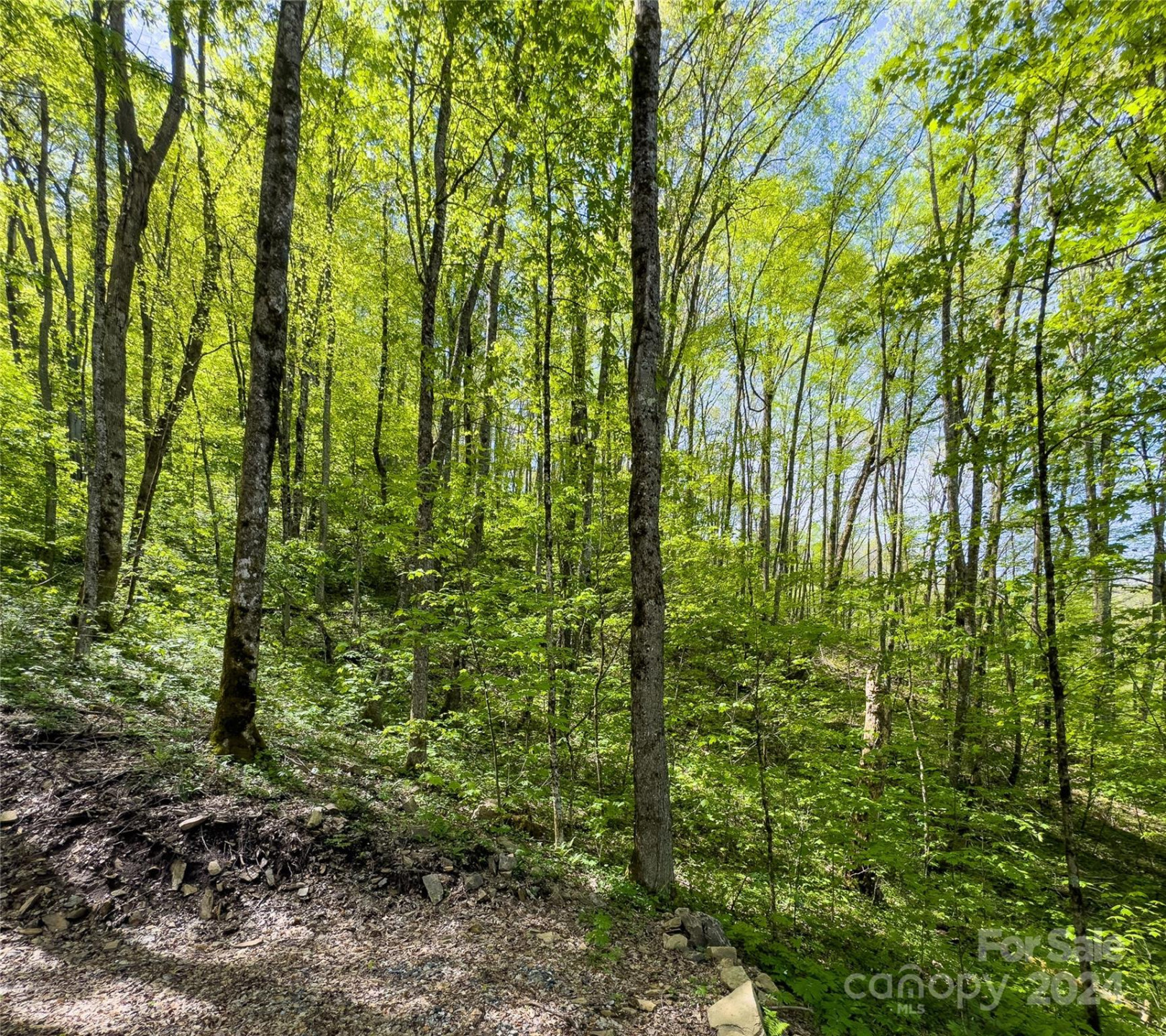 Lot 74 Black Rock Road #74 - Photo 14