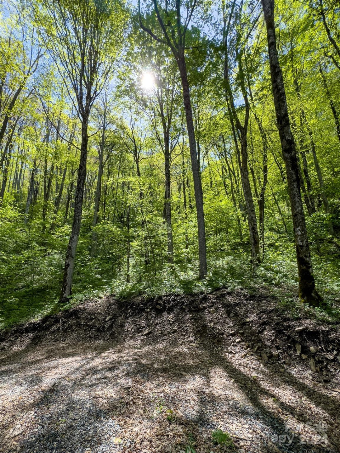 Lot 74 Black Rock Road #74 - Photo 15