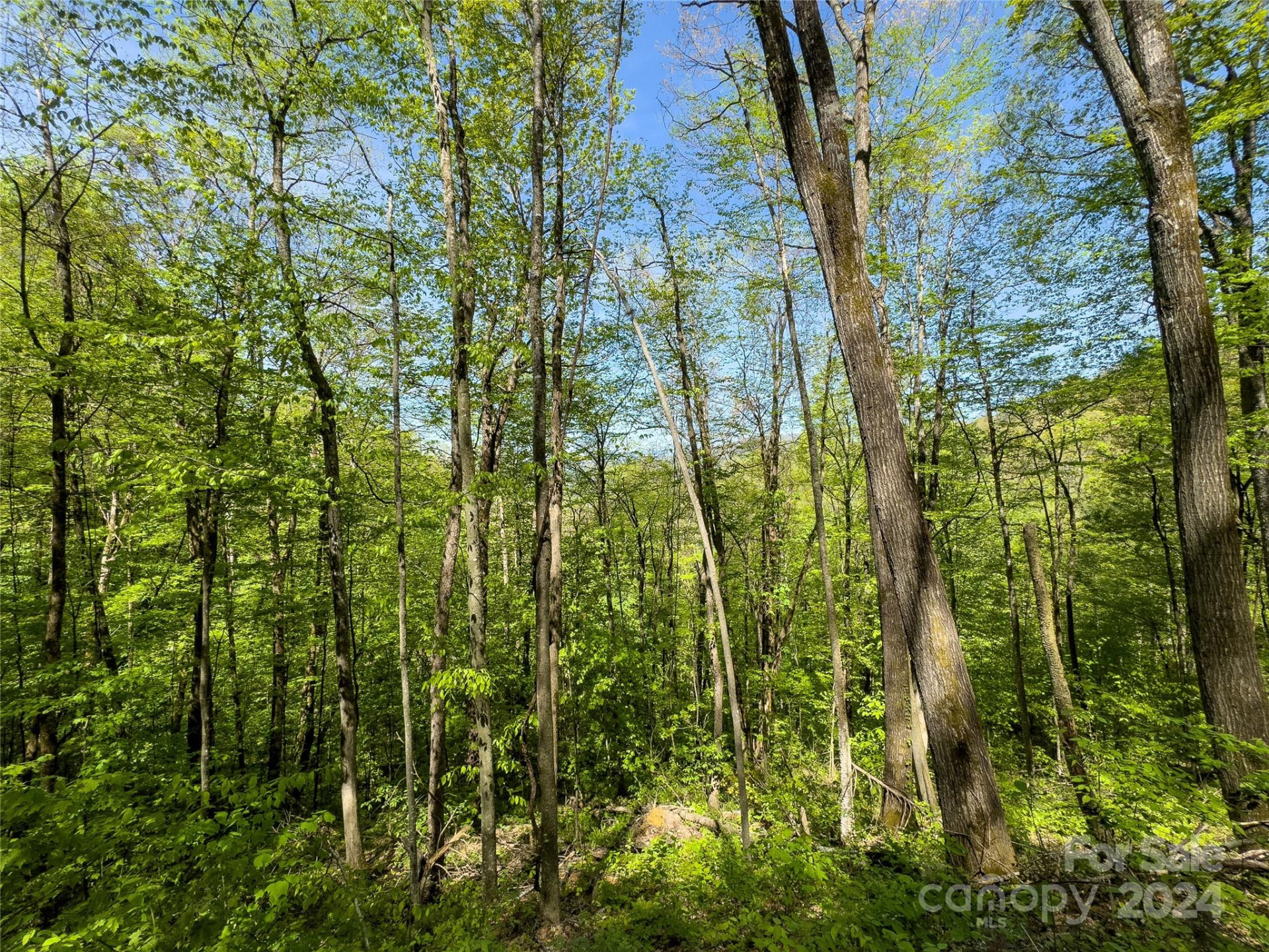 Lot 74 Black Rock Road #74 - Photo 16