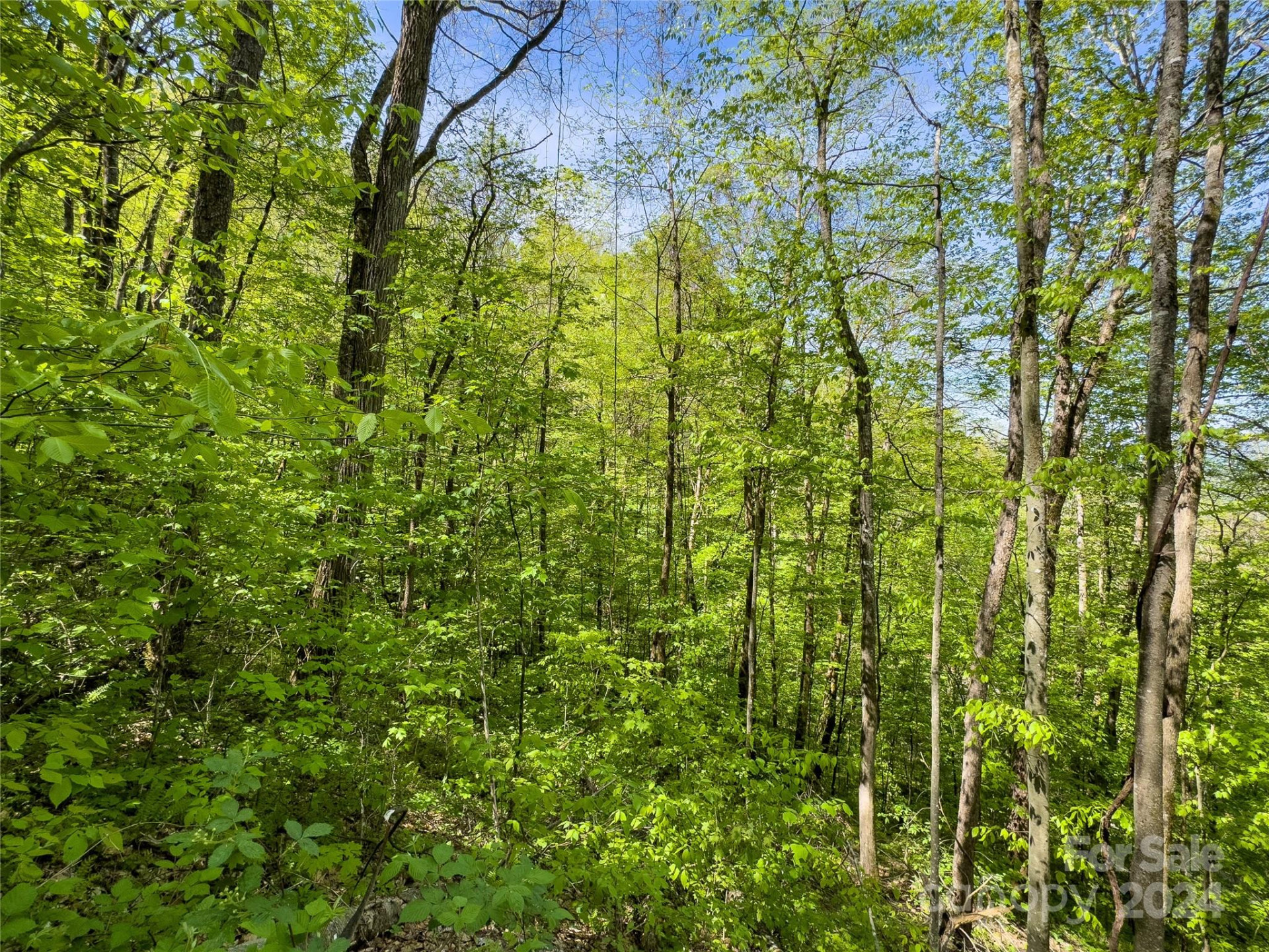 Lot 74 Black Rock Road #74 - Photo 17