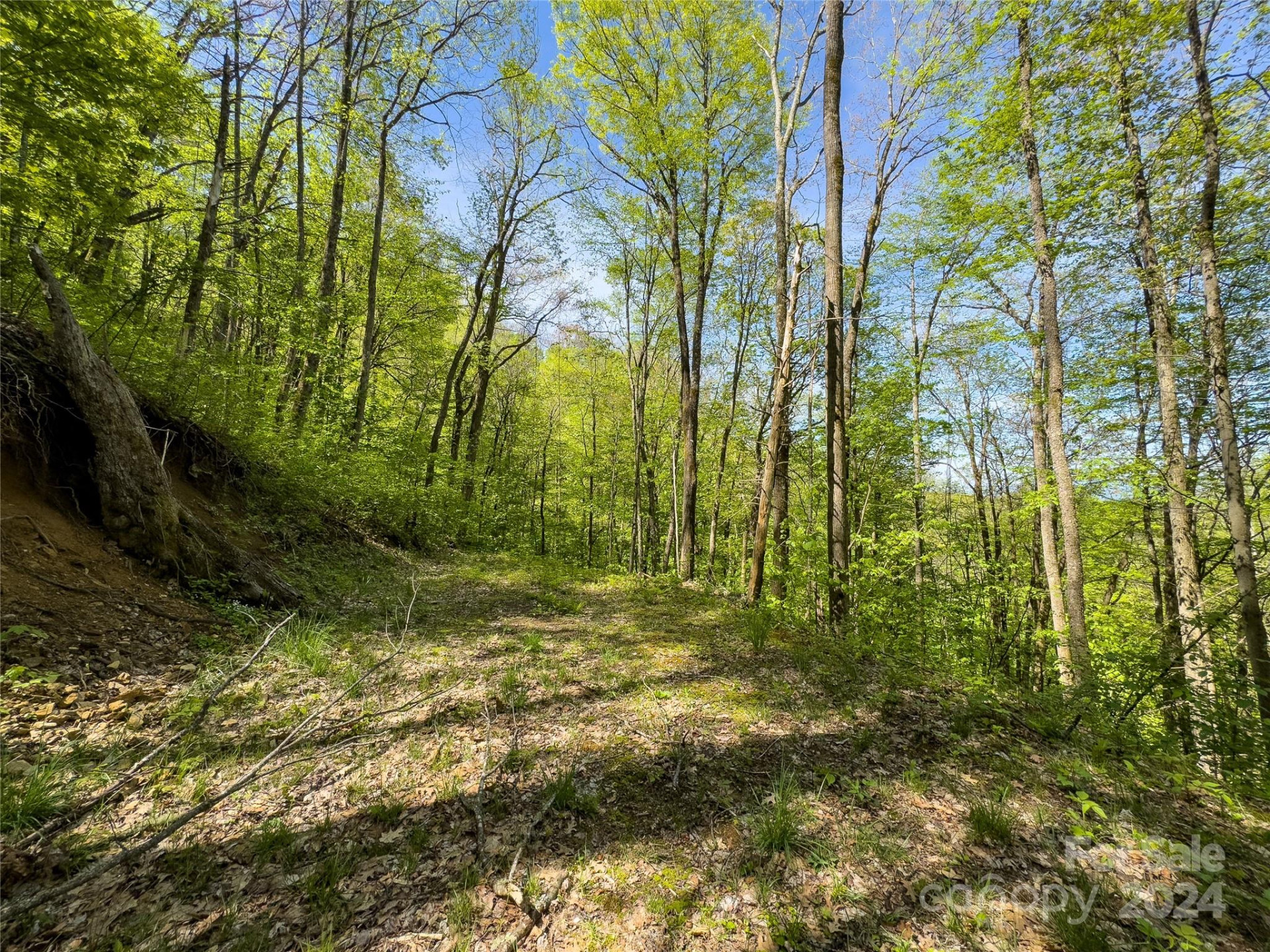 Lot 74 Black Rock Road #74 - Photo 18