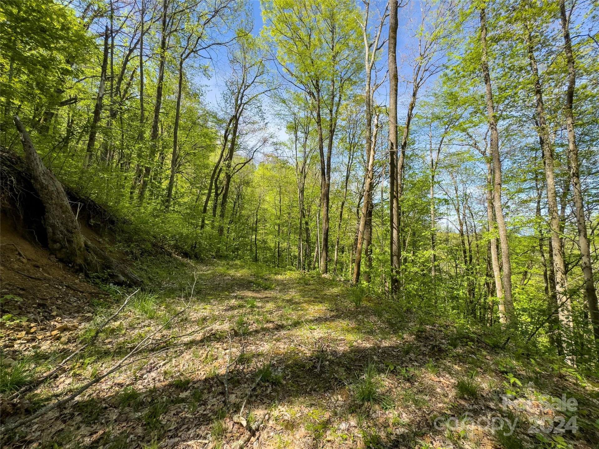 Lot 74 Black Rock Road #74 - Photo 18