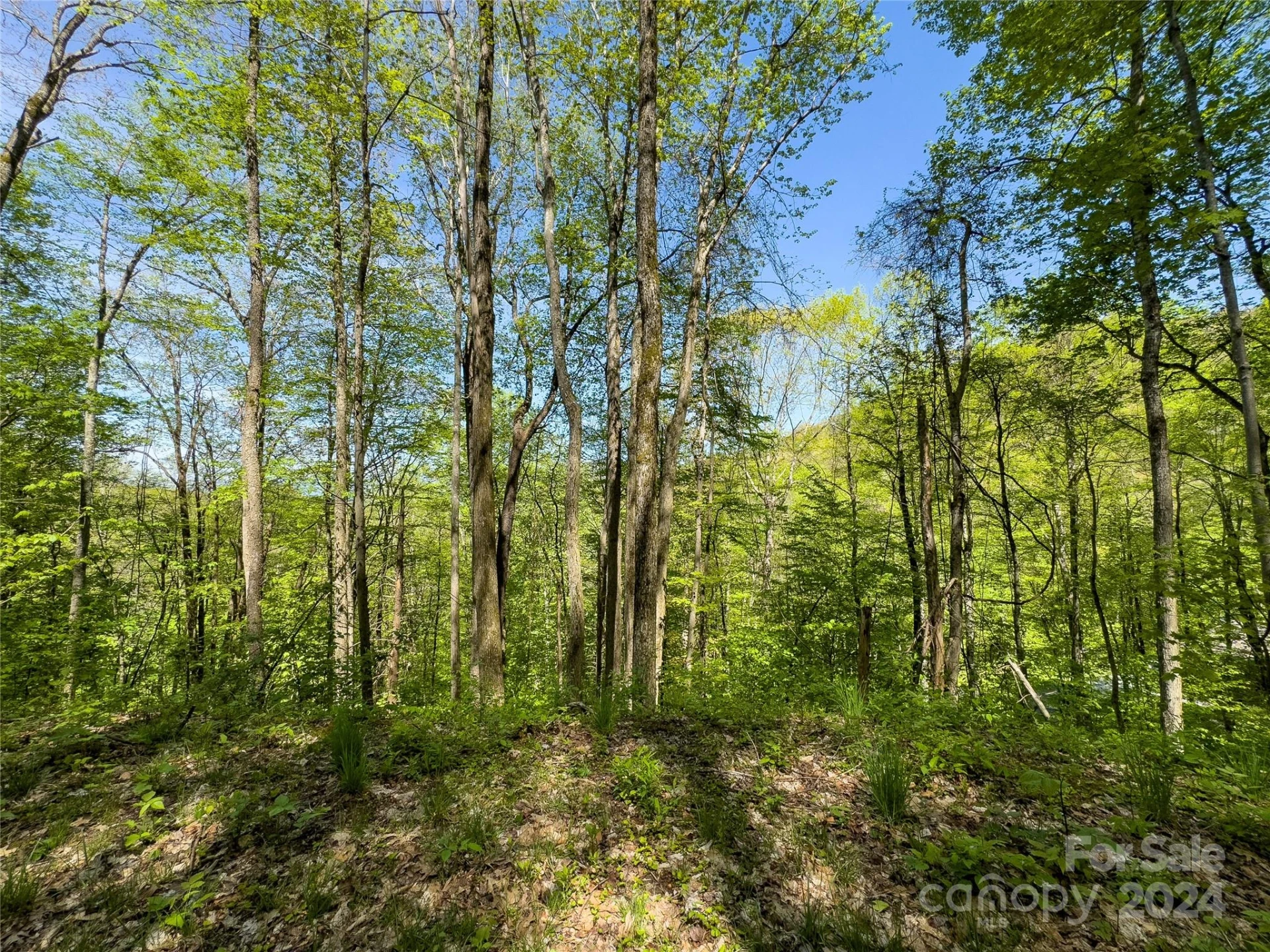 Lot 74 Black Rock Road #74 - Photo 19