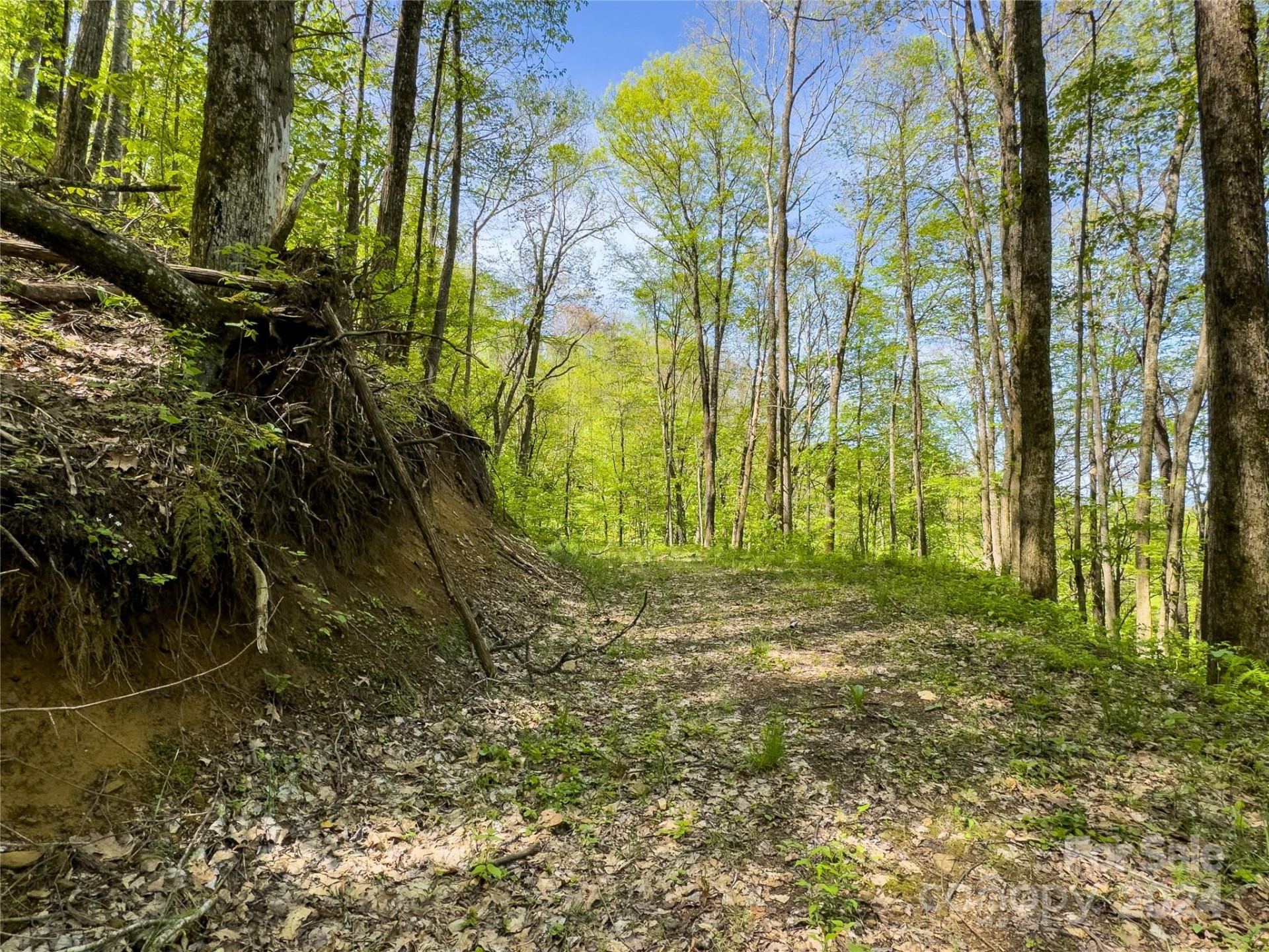 Lot 74 Black Rock Road #74 - Photo 20