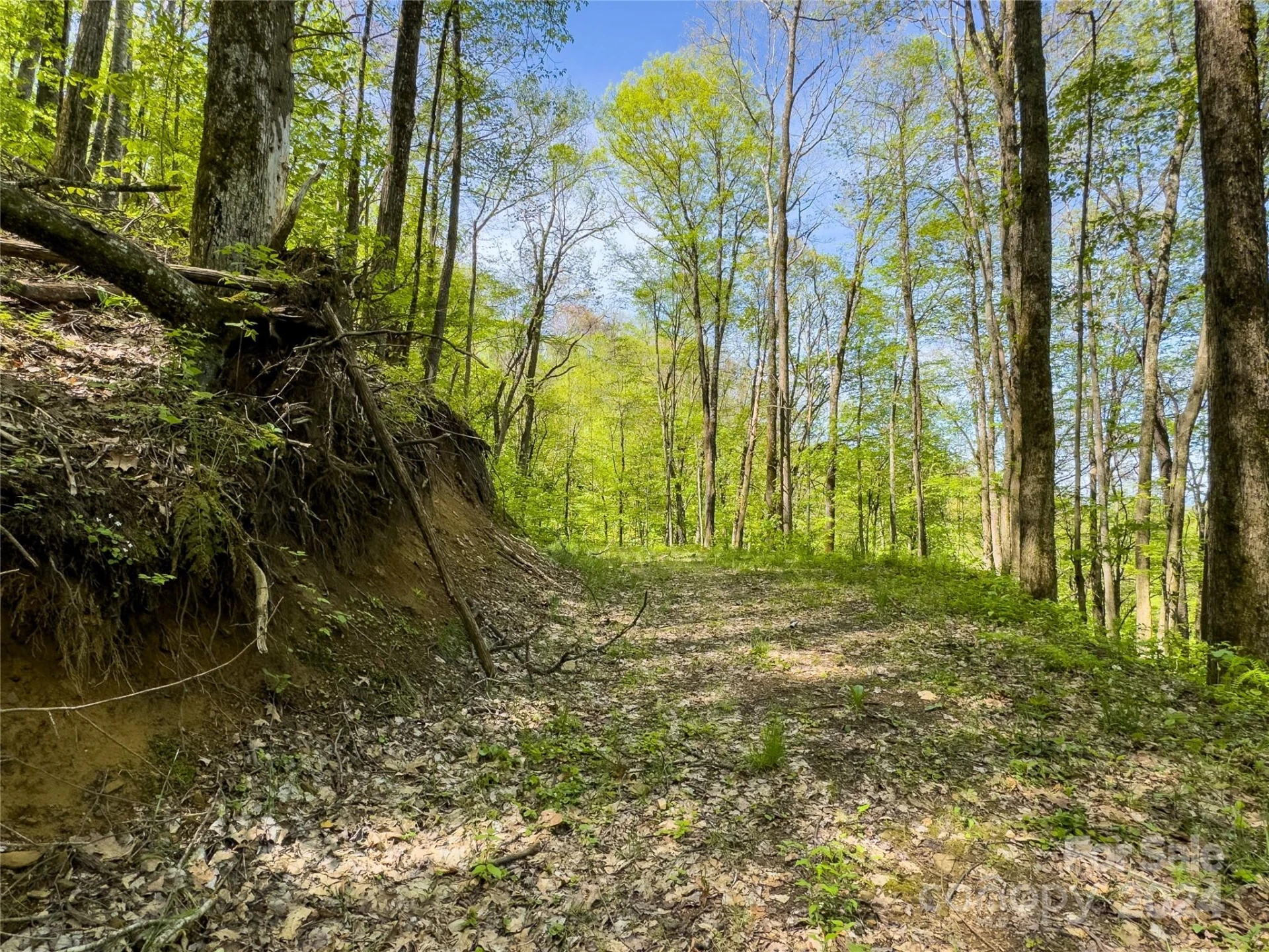 Lot 74 Black Rock Road #74 - Photo 20