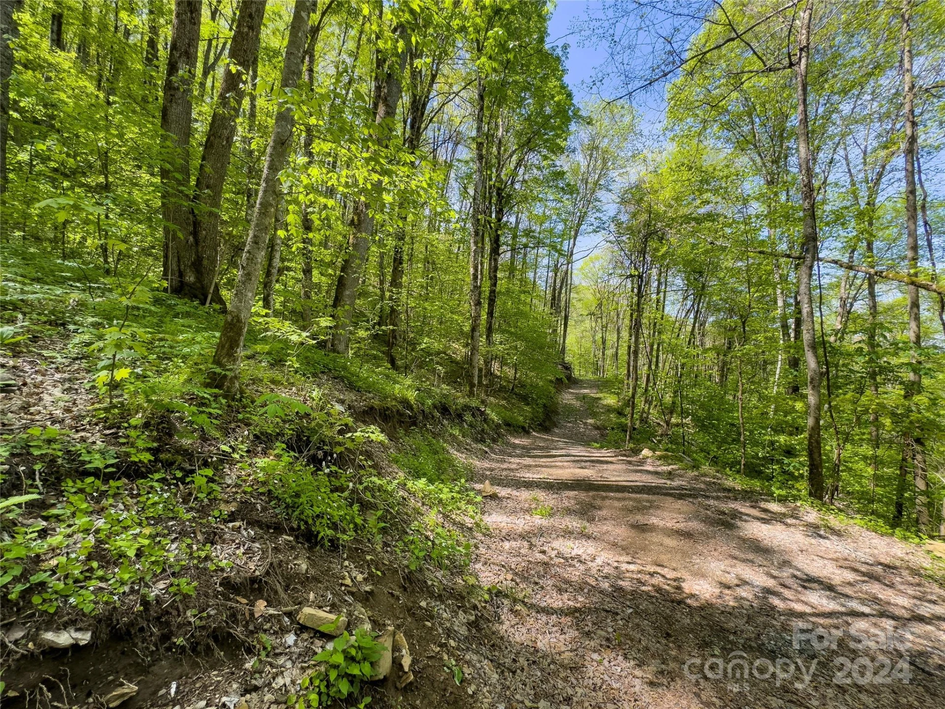 Lot 74 Black Rock Road #74 - Photo 3