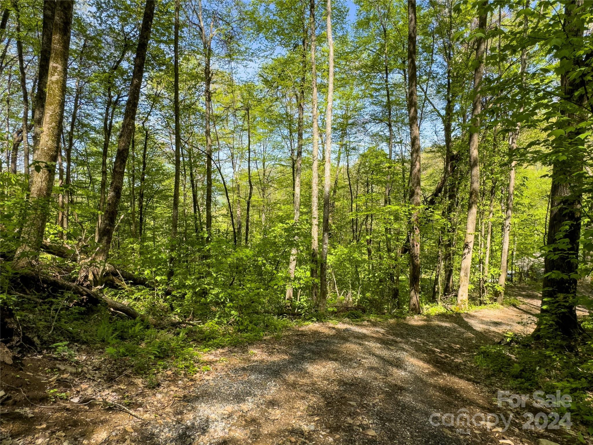 Lot 74 Black Rock Road #74 - Photo 21