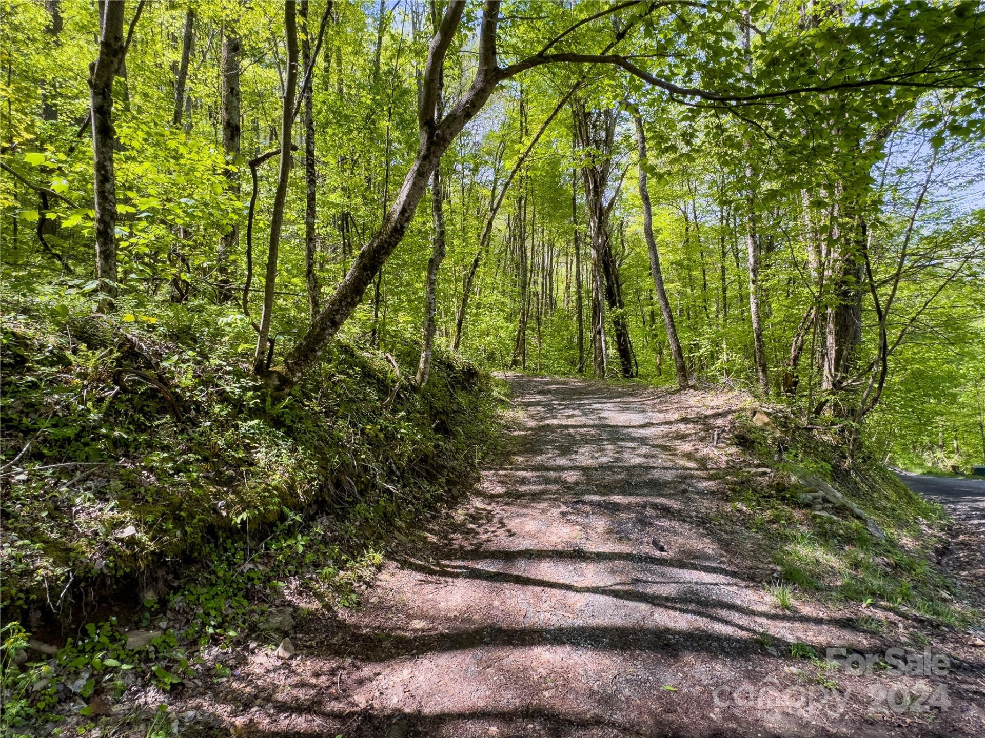 Lot 74 Black Rock Road #74 - Photo 24