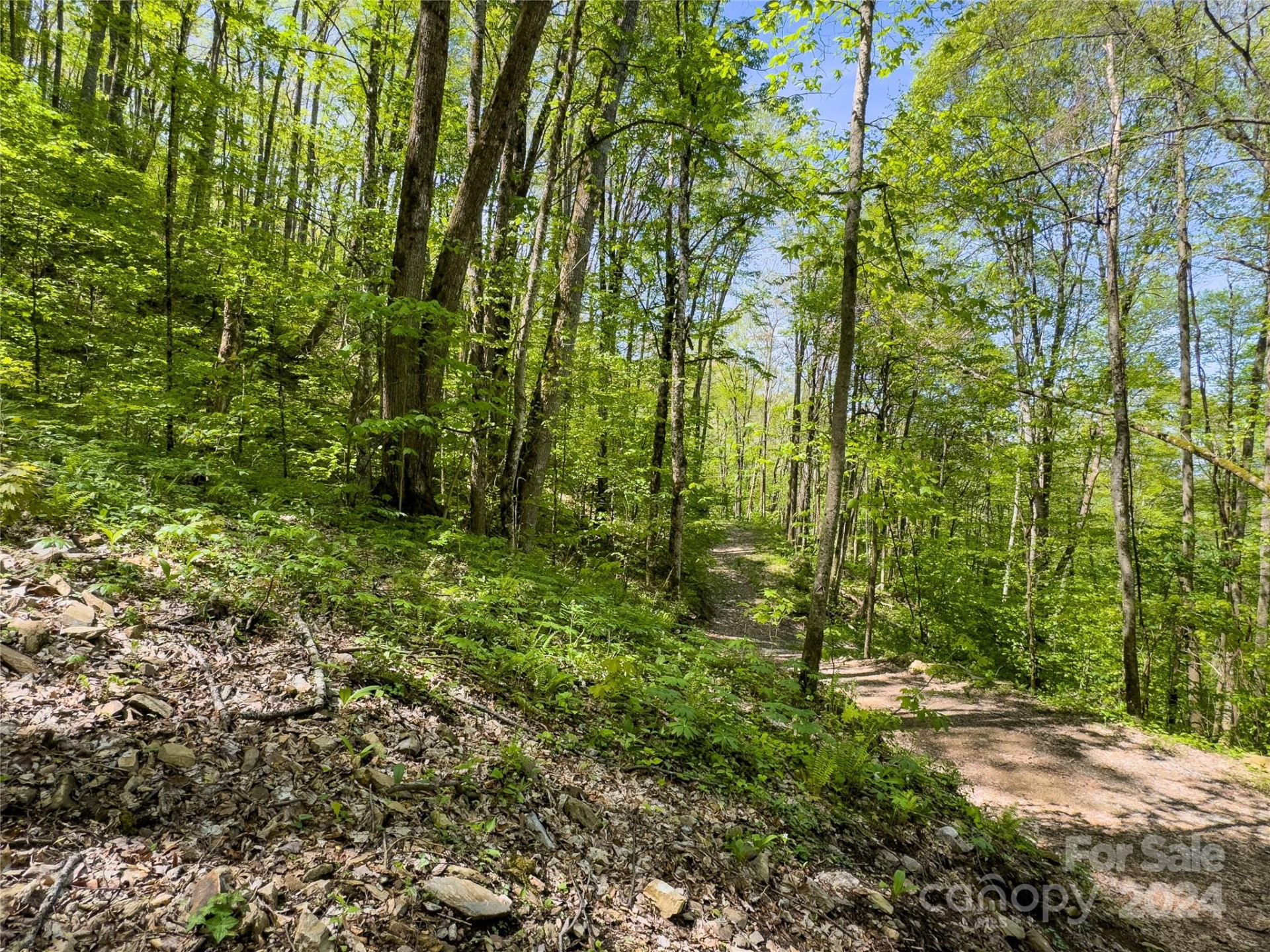 Lot 74 Black Rock Road #74 - Photo 4