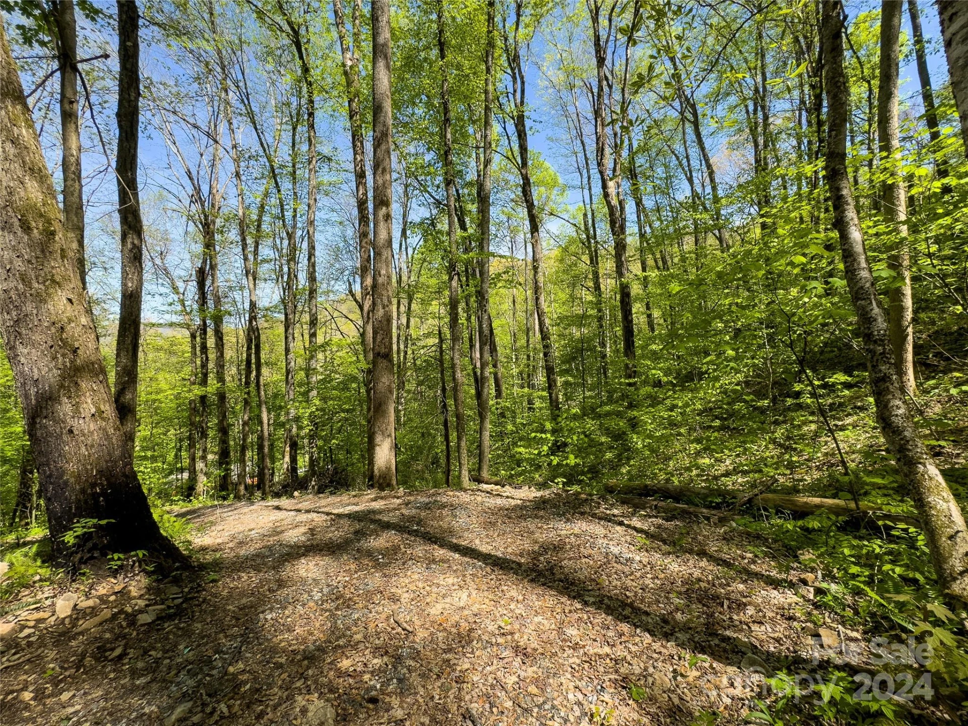 Lot 74 Black Rock Road #74 - Photo 5