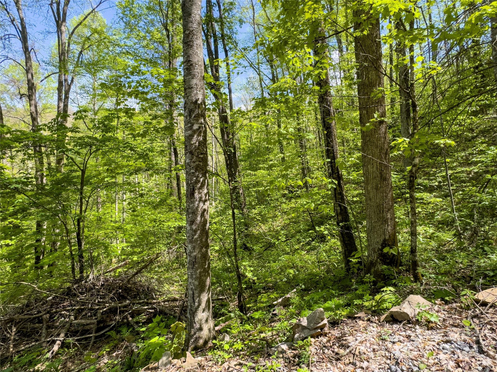 Lot 74 Black Rock Road #74 - Photo 6