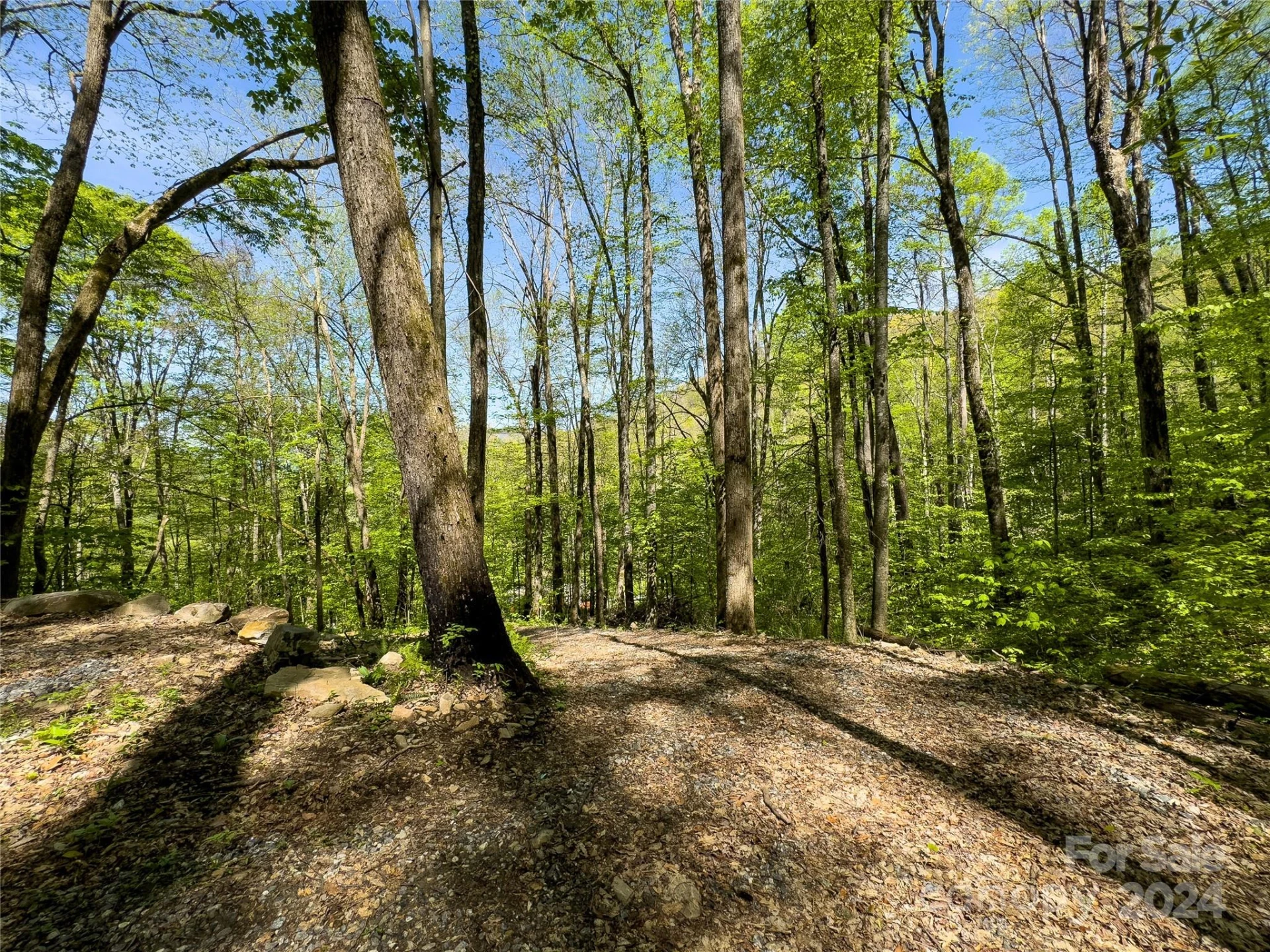 Lot 74 Black Rock Road #74 - Photo 7