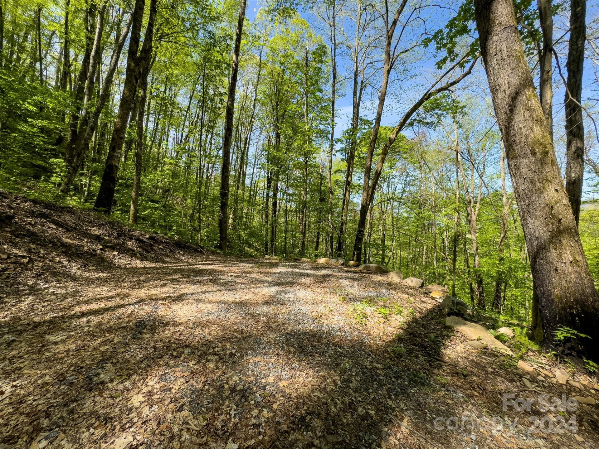 Lot 74 Black Rock Road #74 - Photo 8