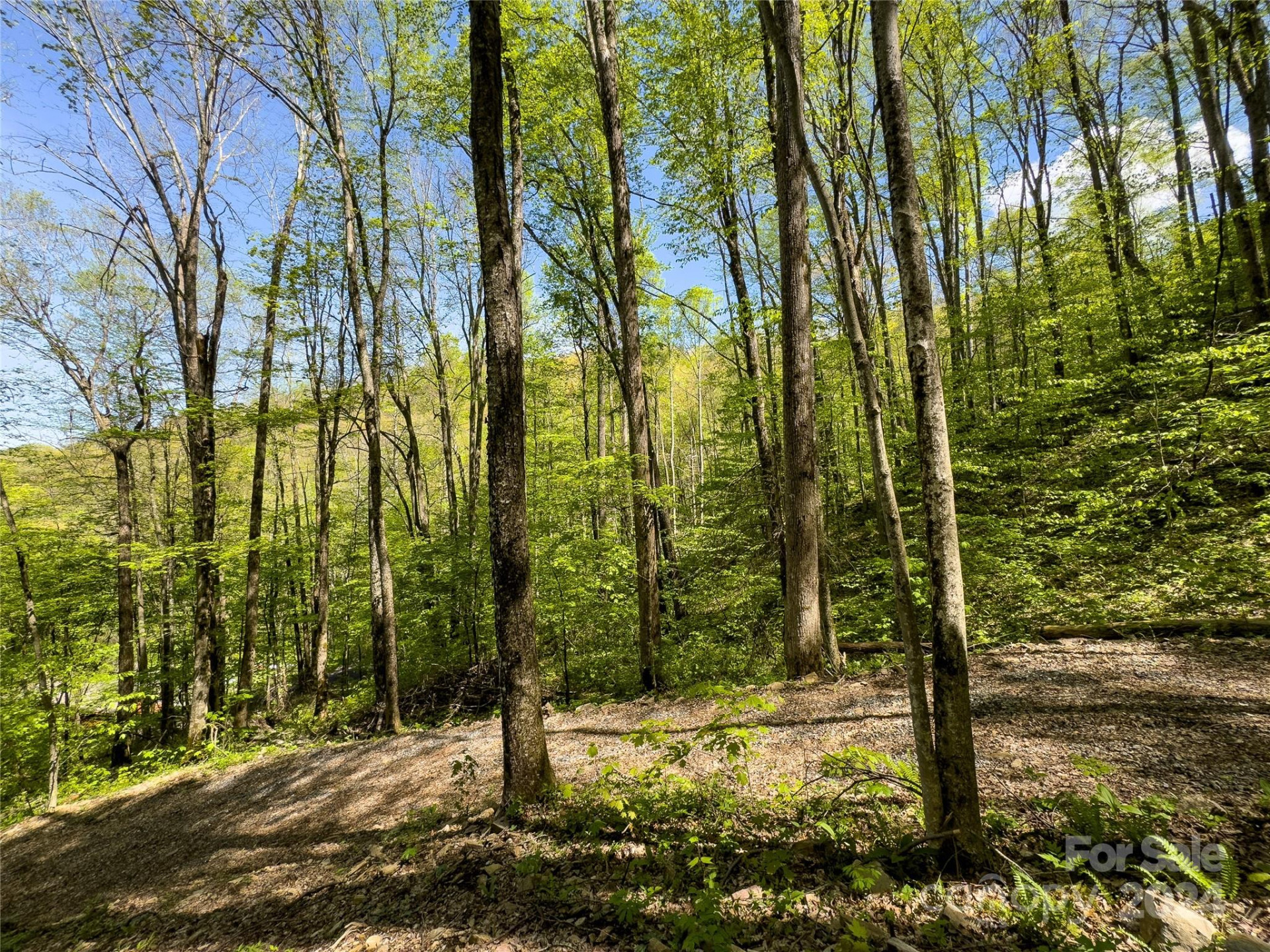 Lot 74 Black Rock Road #74 - Photo 9