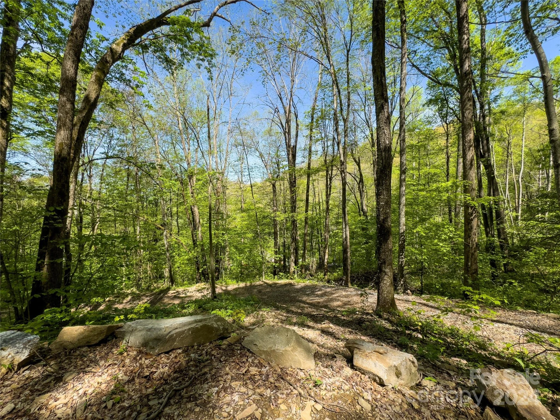 Lot 74 Black Rock Road #74 - Photo 10
