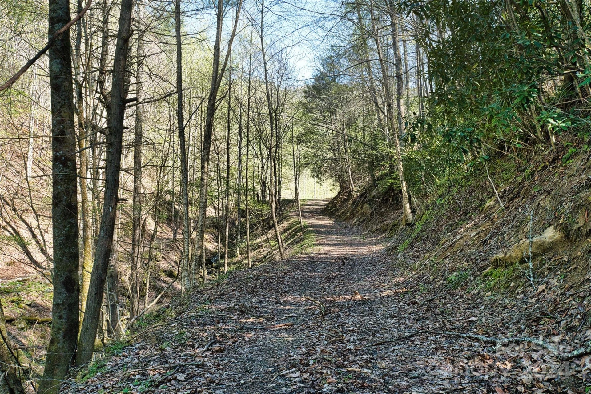 2180 Pigeon Roost Road - Photo 30