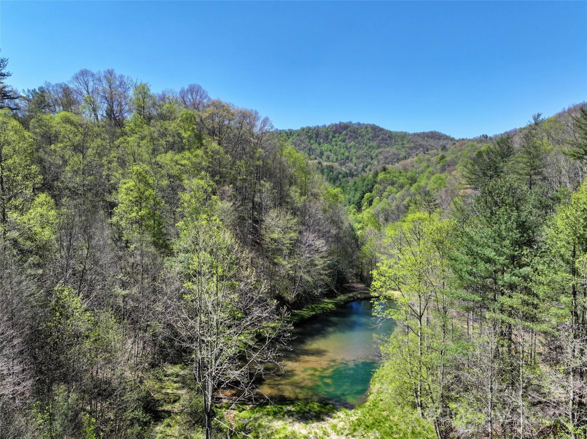 2180 Pigeon Roost Road - Photo 4