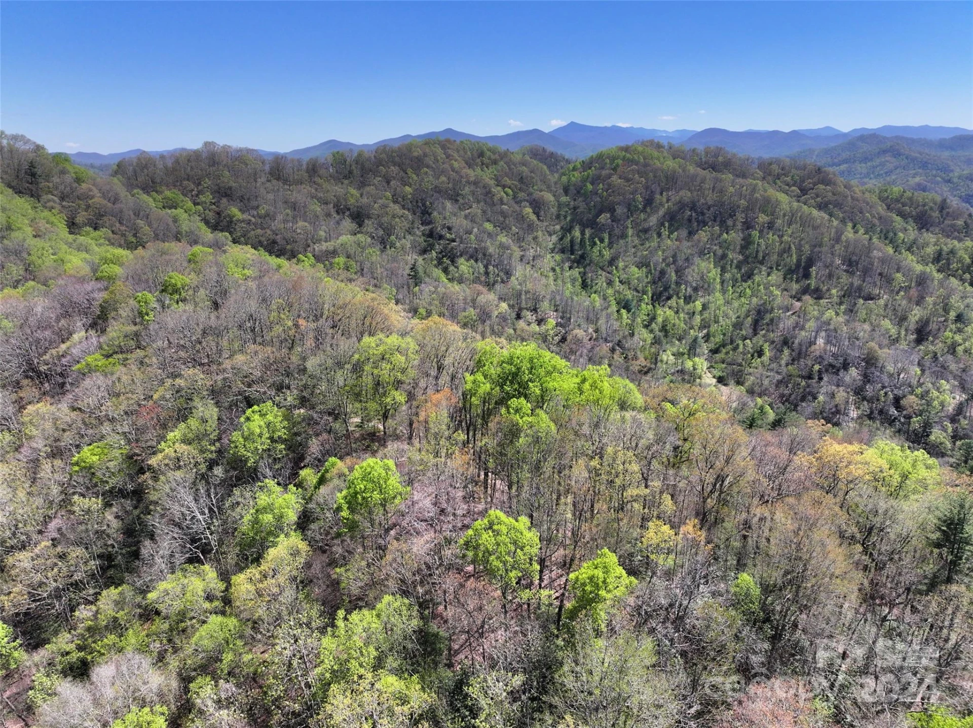 2180 Pigeon Roost Road - Photo 36