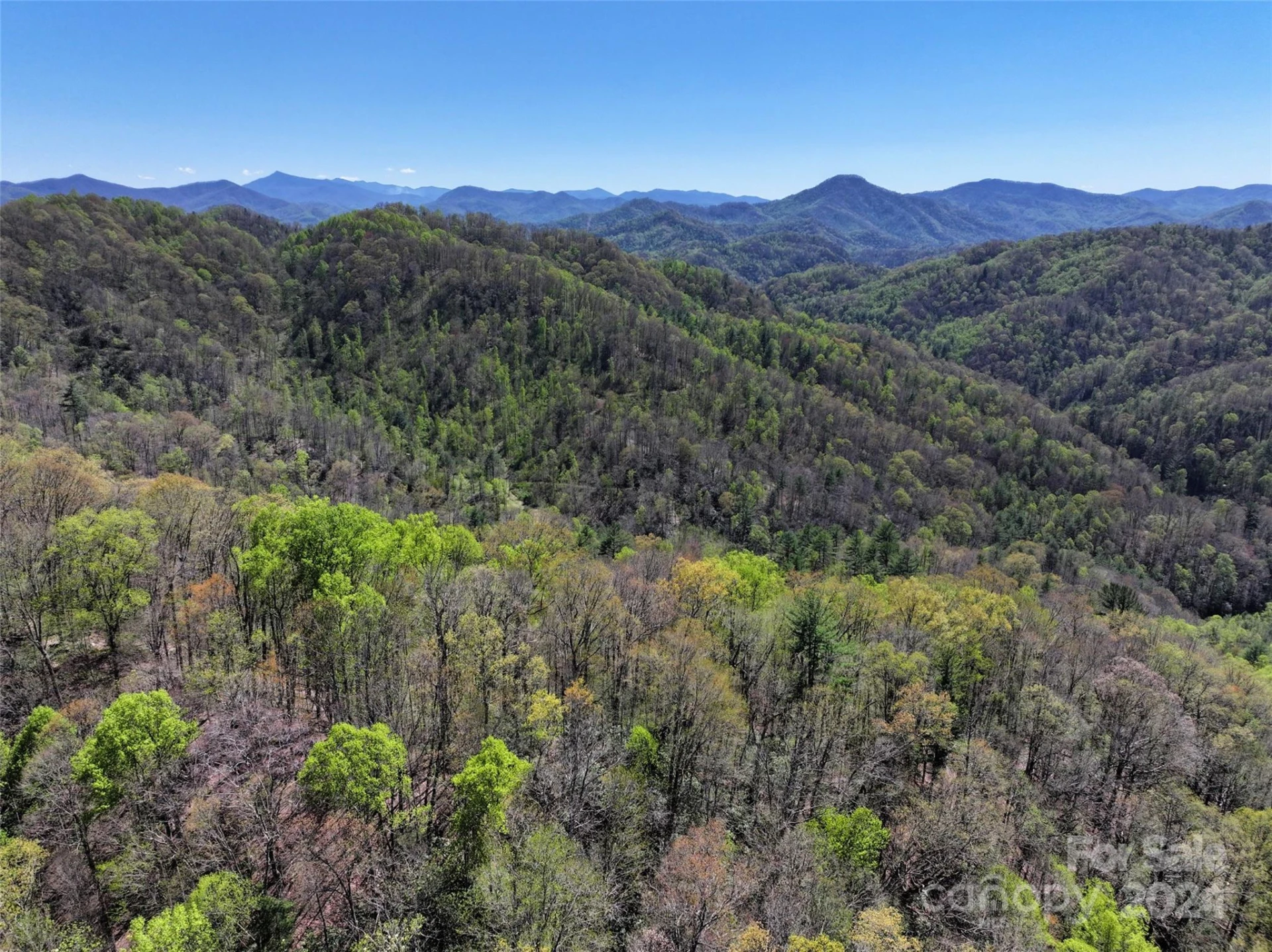 2180 Pigeon Roost Road - Photo 37