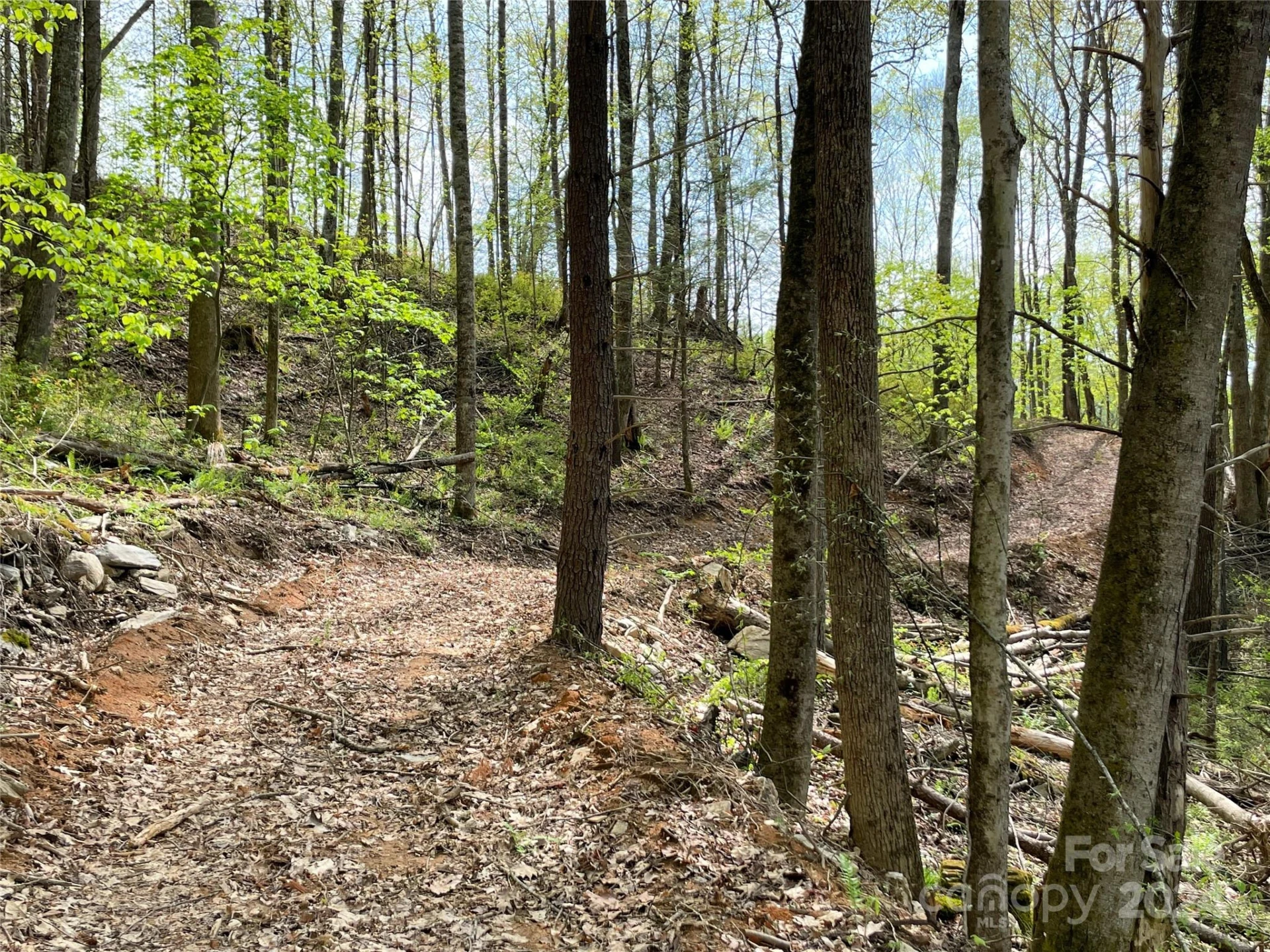 2180 Pigeon Roost Road - Photo 39