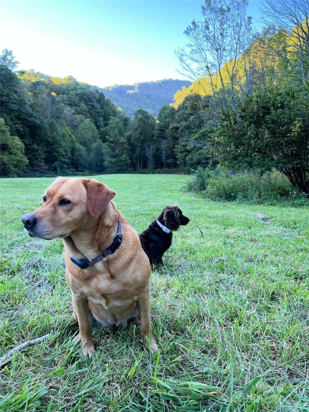 2180 Pigeon Roost Road - Photo 43