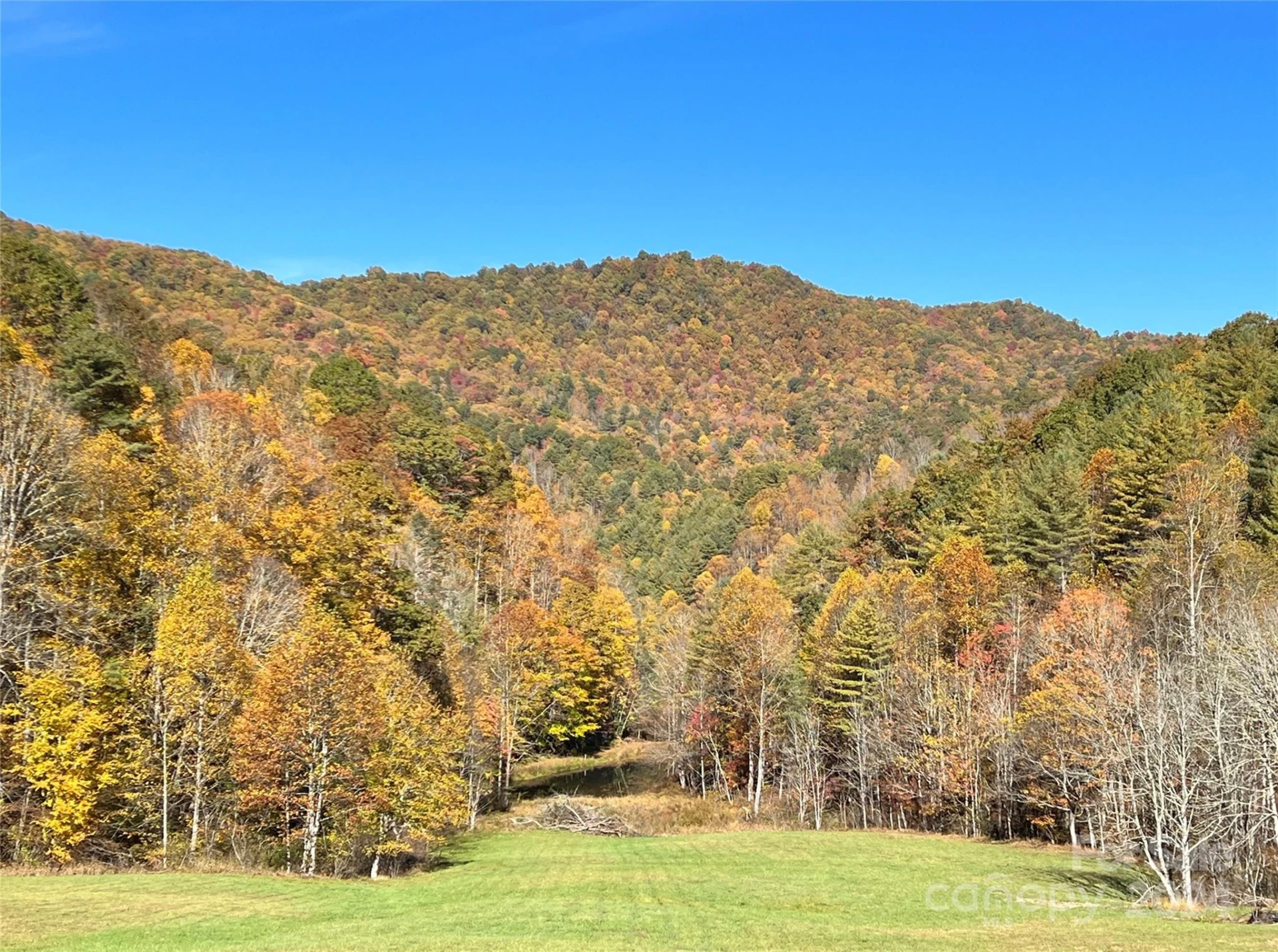2180 Pigeon Roost Road - Photo 44