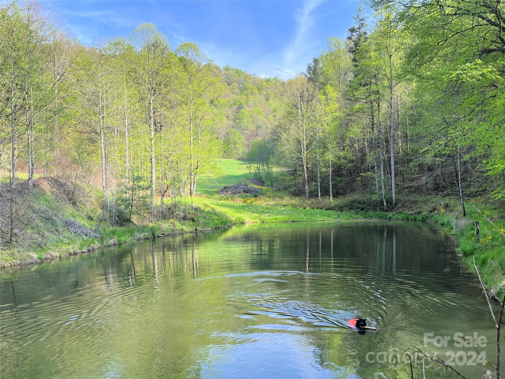 2180 Pigeon Roost Road - Photo 47