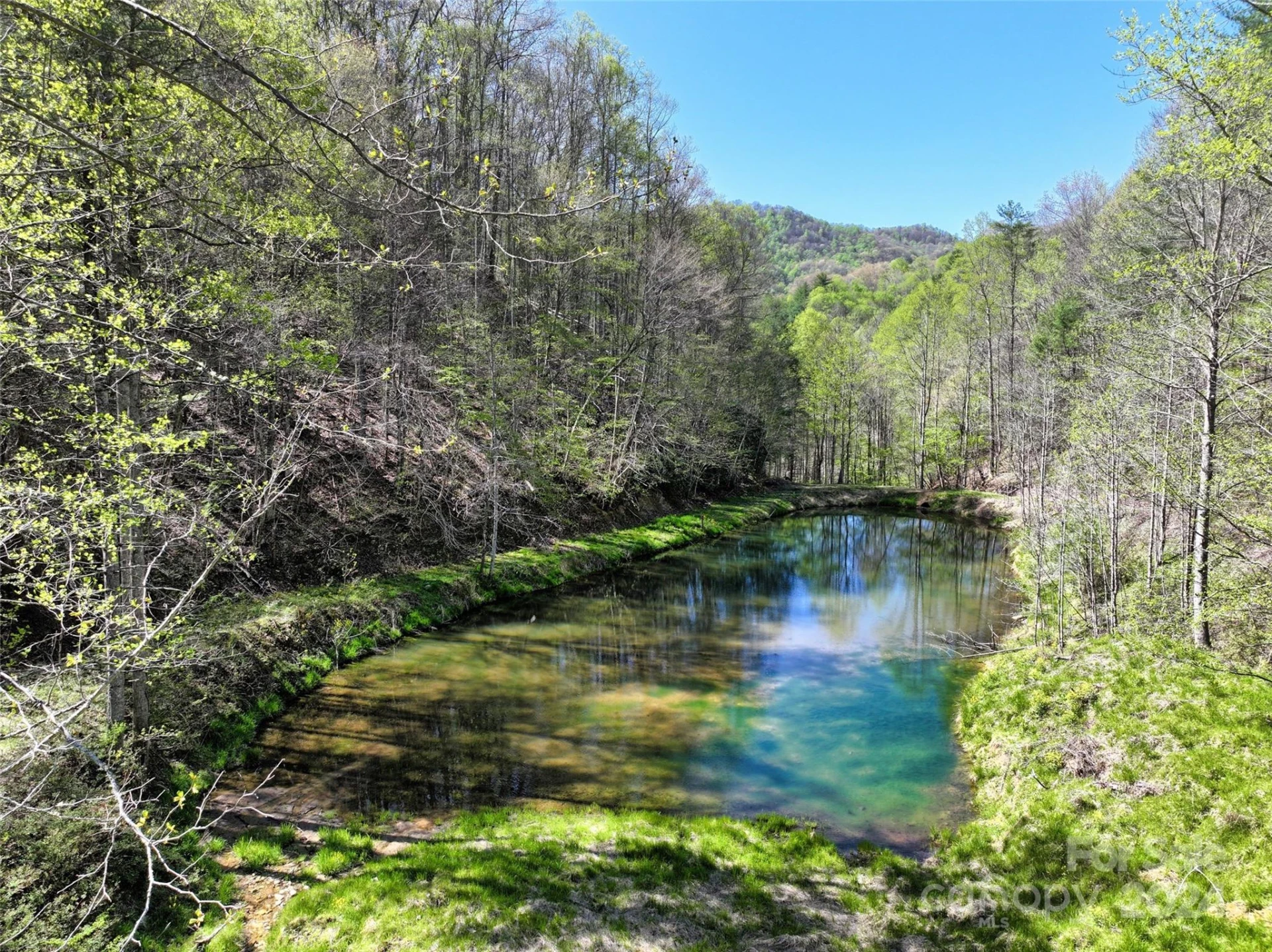 2180 Pigeon Roost Road - Photo 6