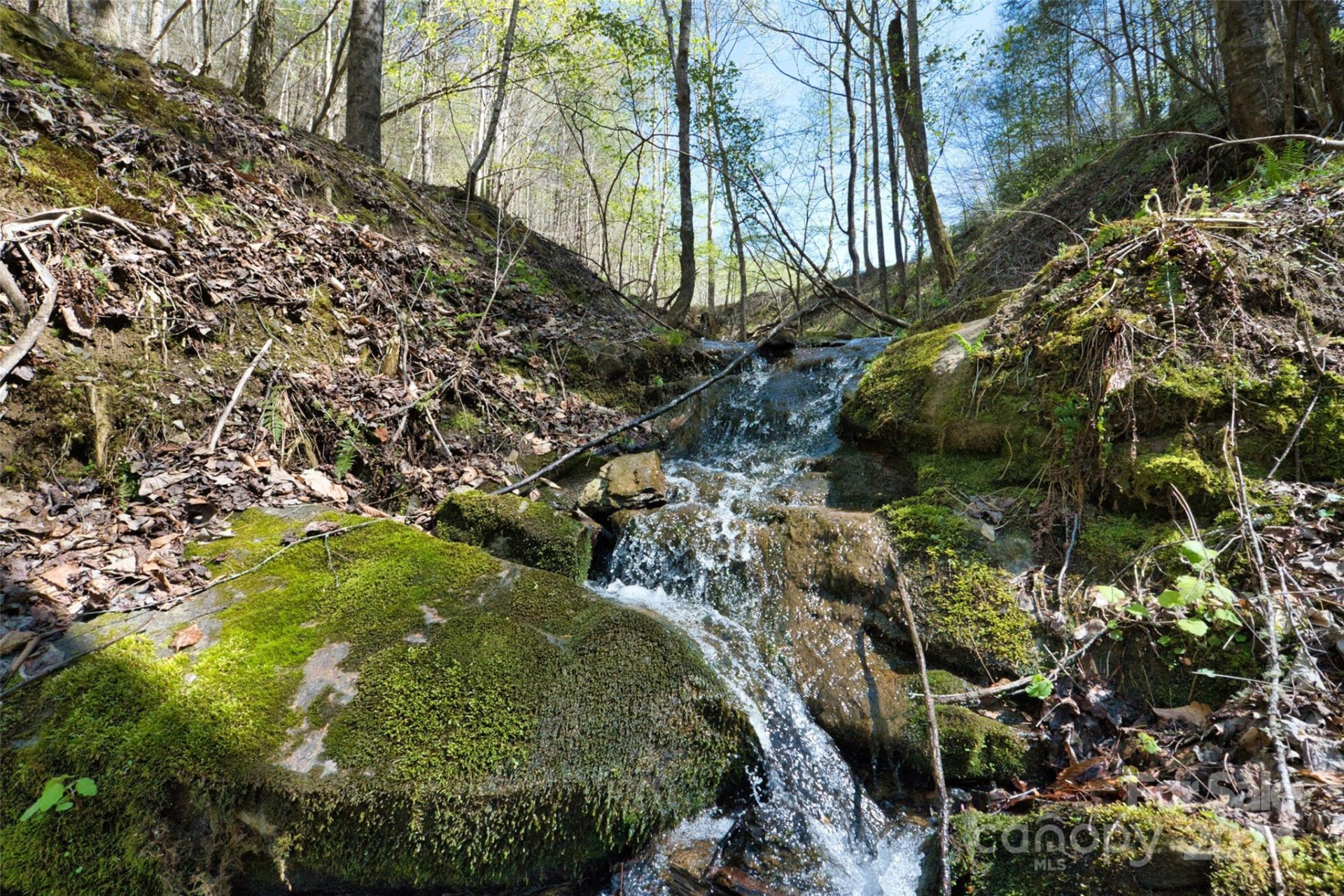 2180 Pigeon Roost Road - Photo 7