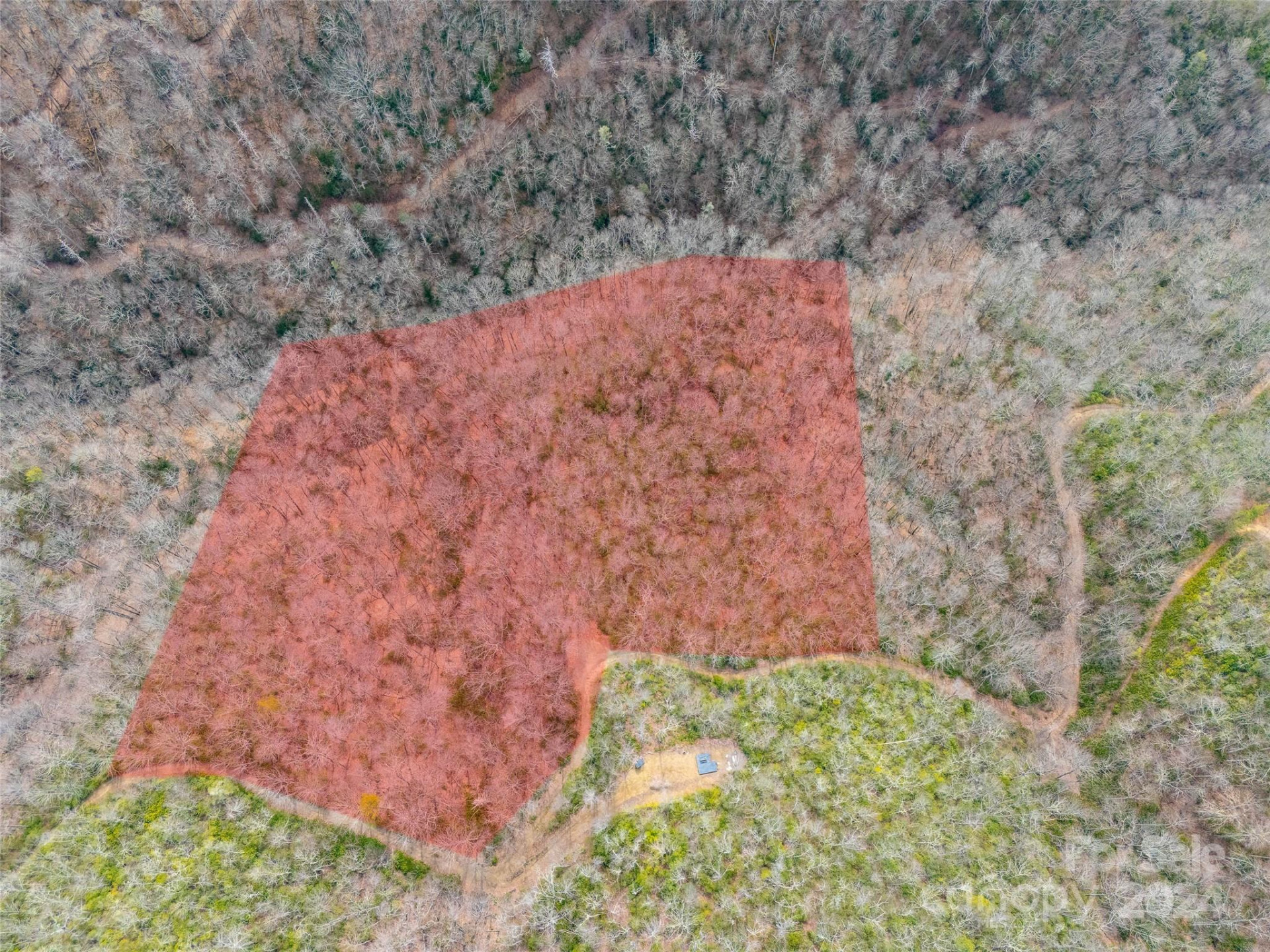 Lot 111 Cranberry Creek Road - Photo 2