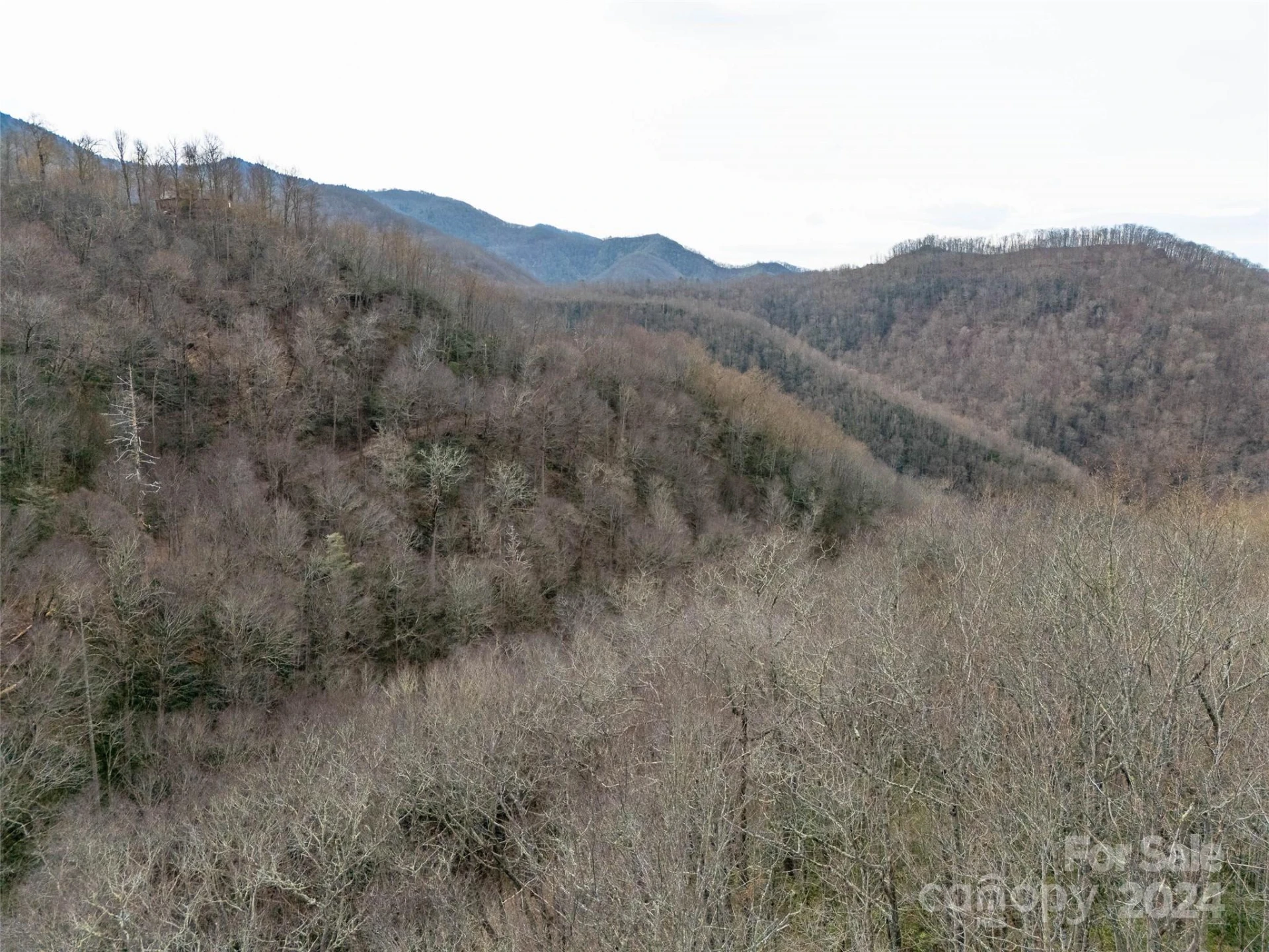 Lot 111 Cranberry Creek Road - Photo 3