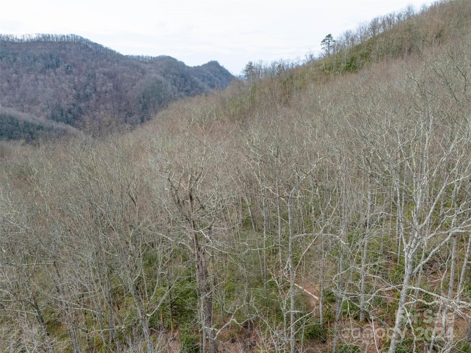 Lot 111 Cranberry Creek Road - Photo 4