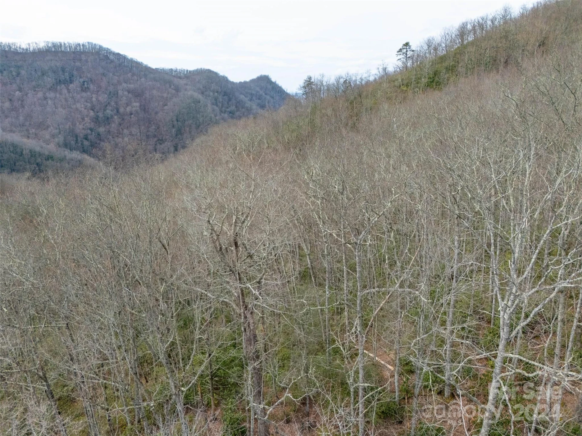 Lot 111 Cranberry Creek Road - Photo 4