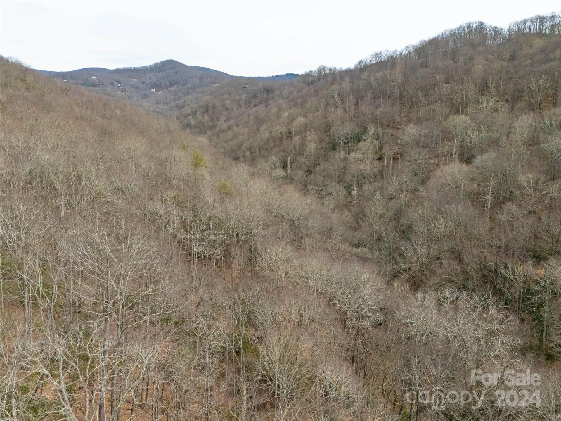 Lot 111 Cranberry Creek Road - Photo 5