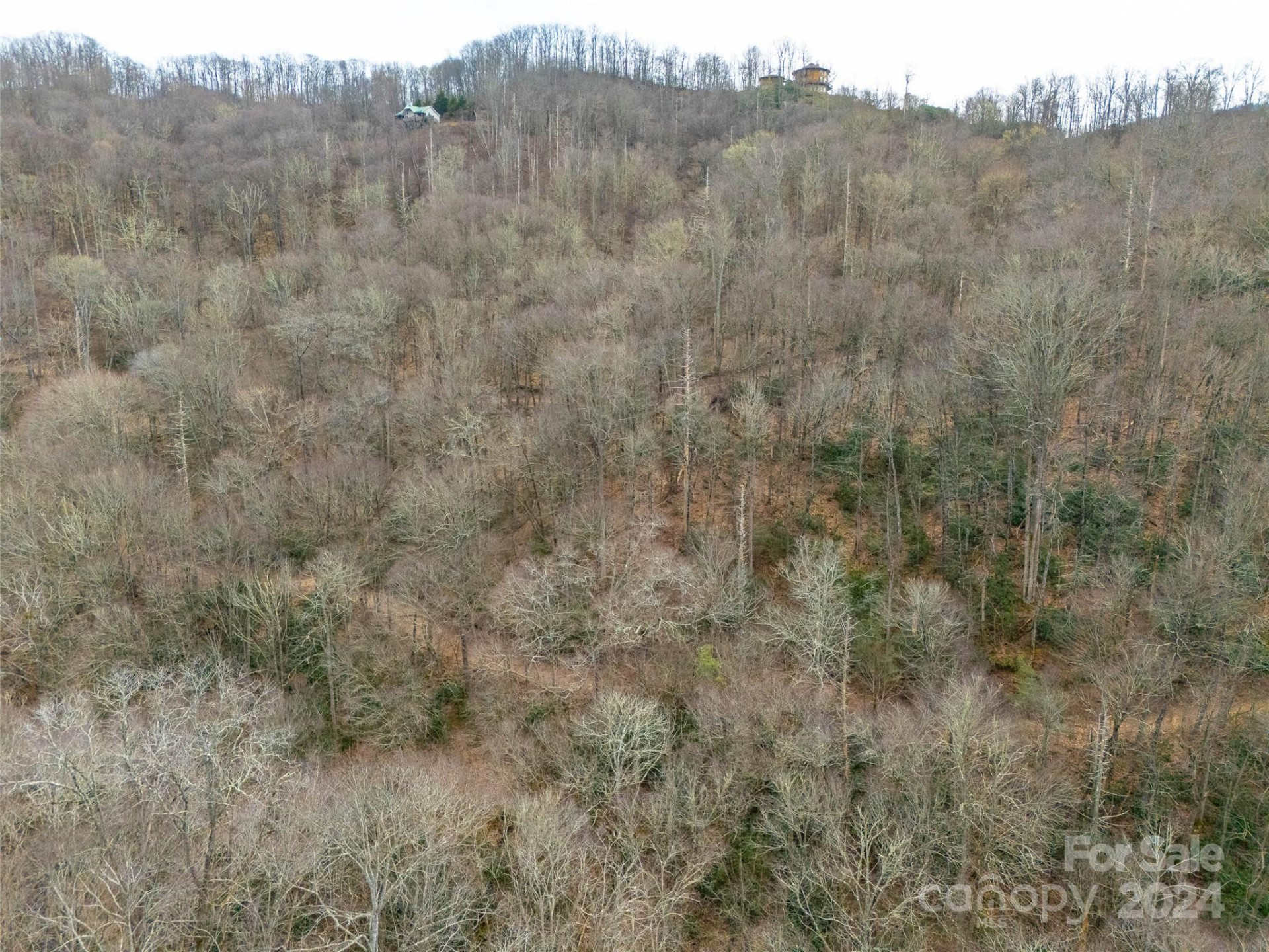 Lot 111 Cranberry Creek Road - Photo 6