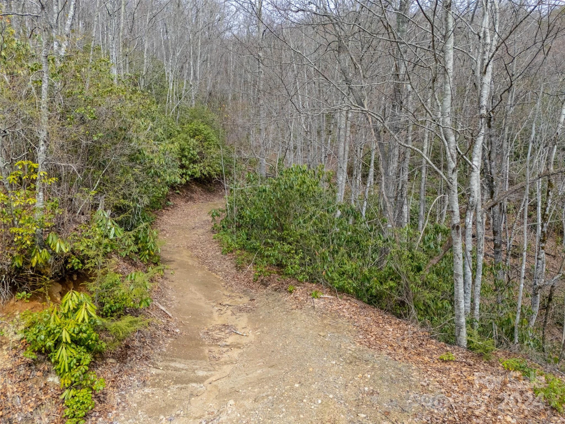 Lot 111 Cranberry Creek Road - Photo 7