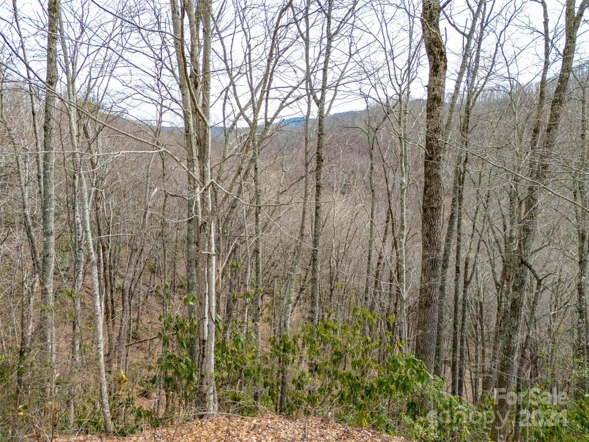 Lot 111 Cranberry Creek Road - Photo 8